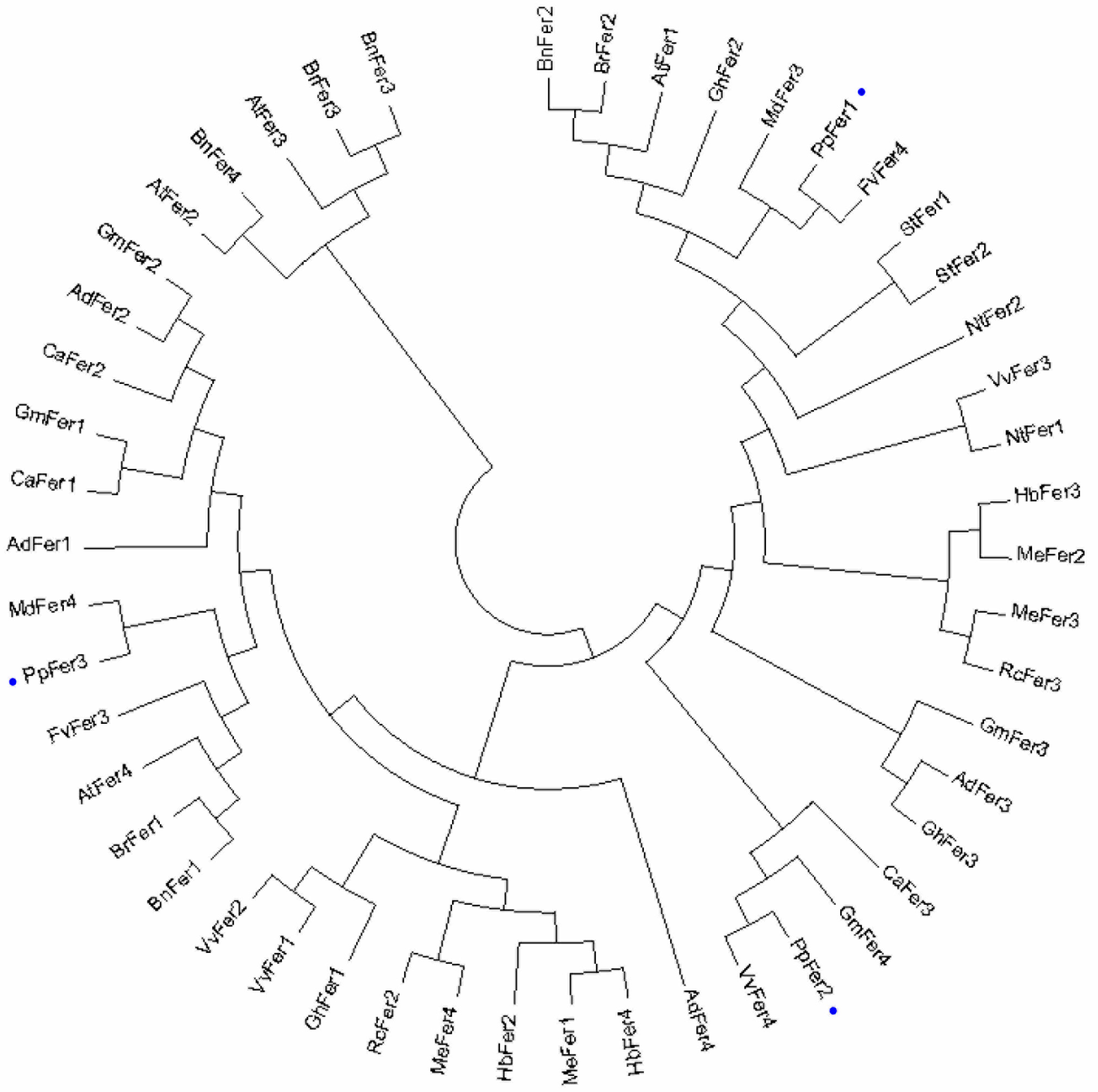 Plants 12 04093 g002