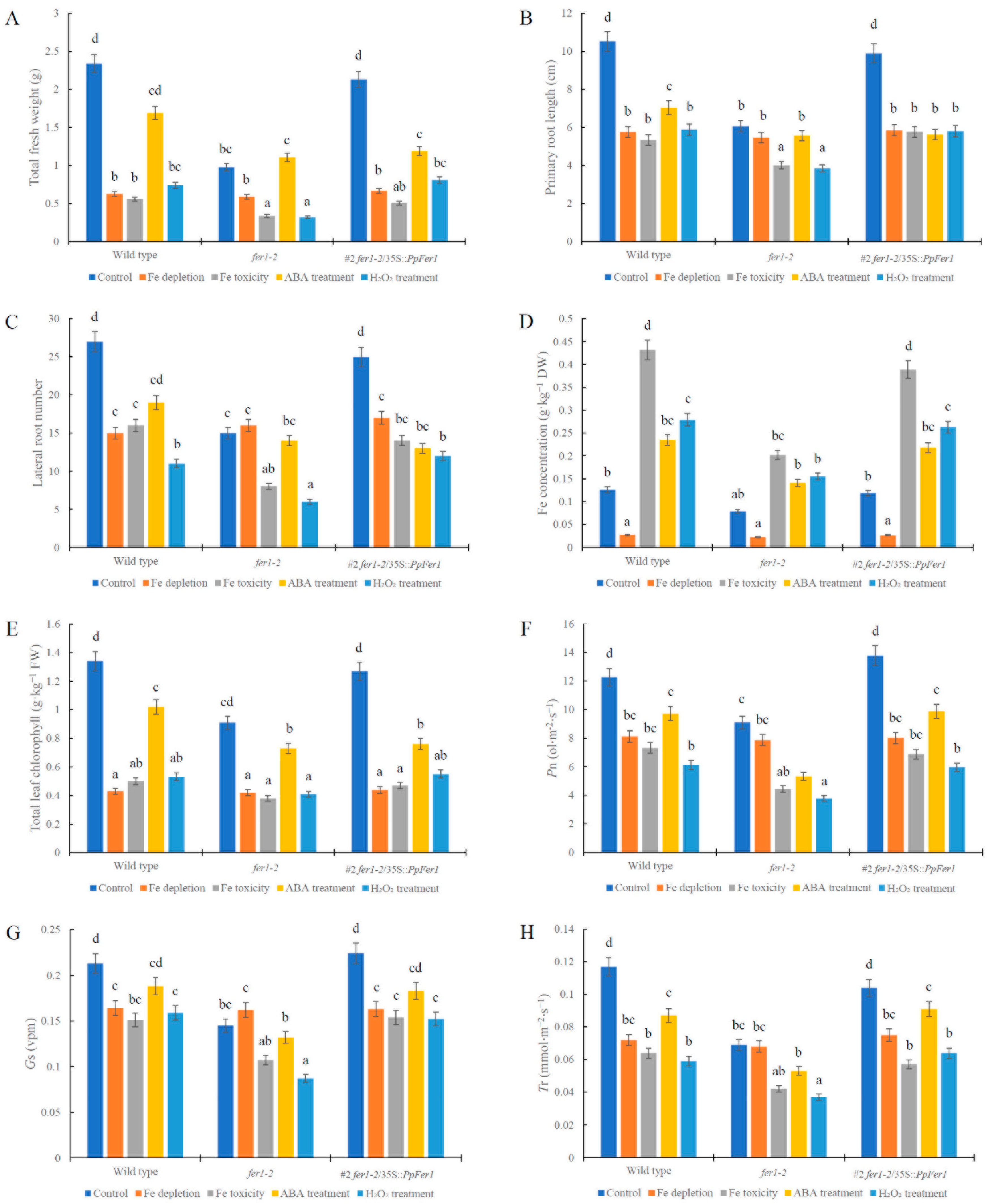 Plants 12 04093 g006