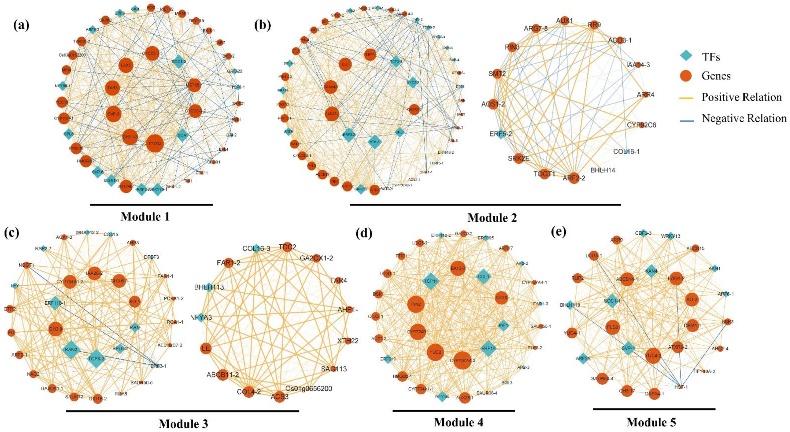 Plants 12 04103 g004