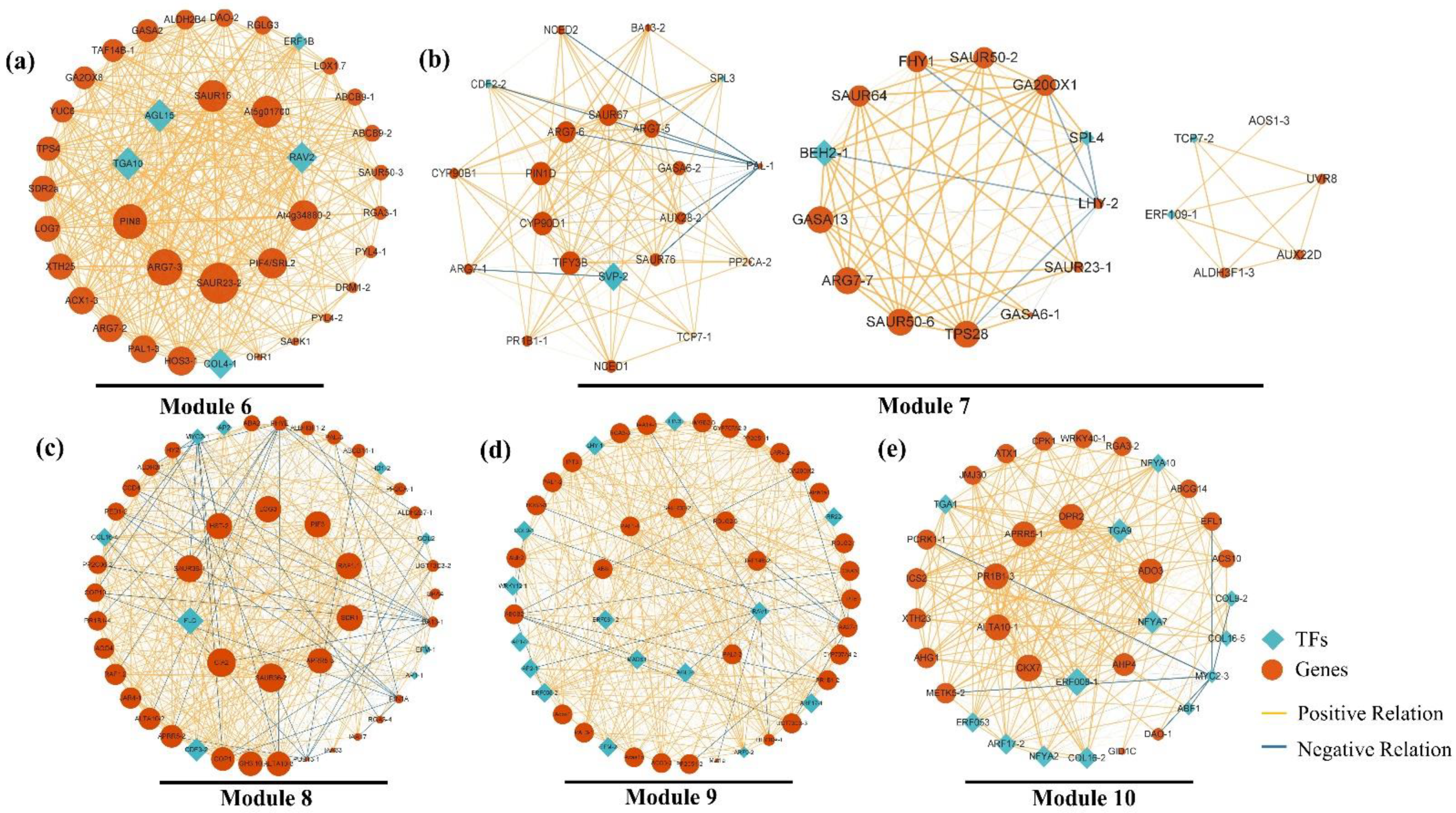 Plants 12 04103 g005