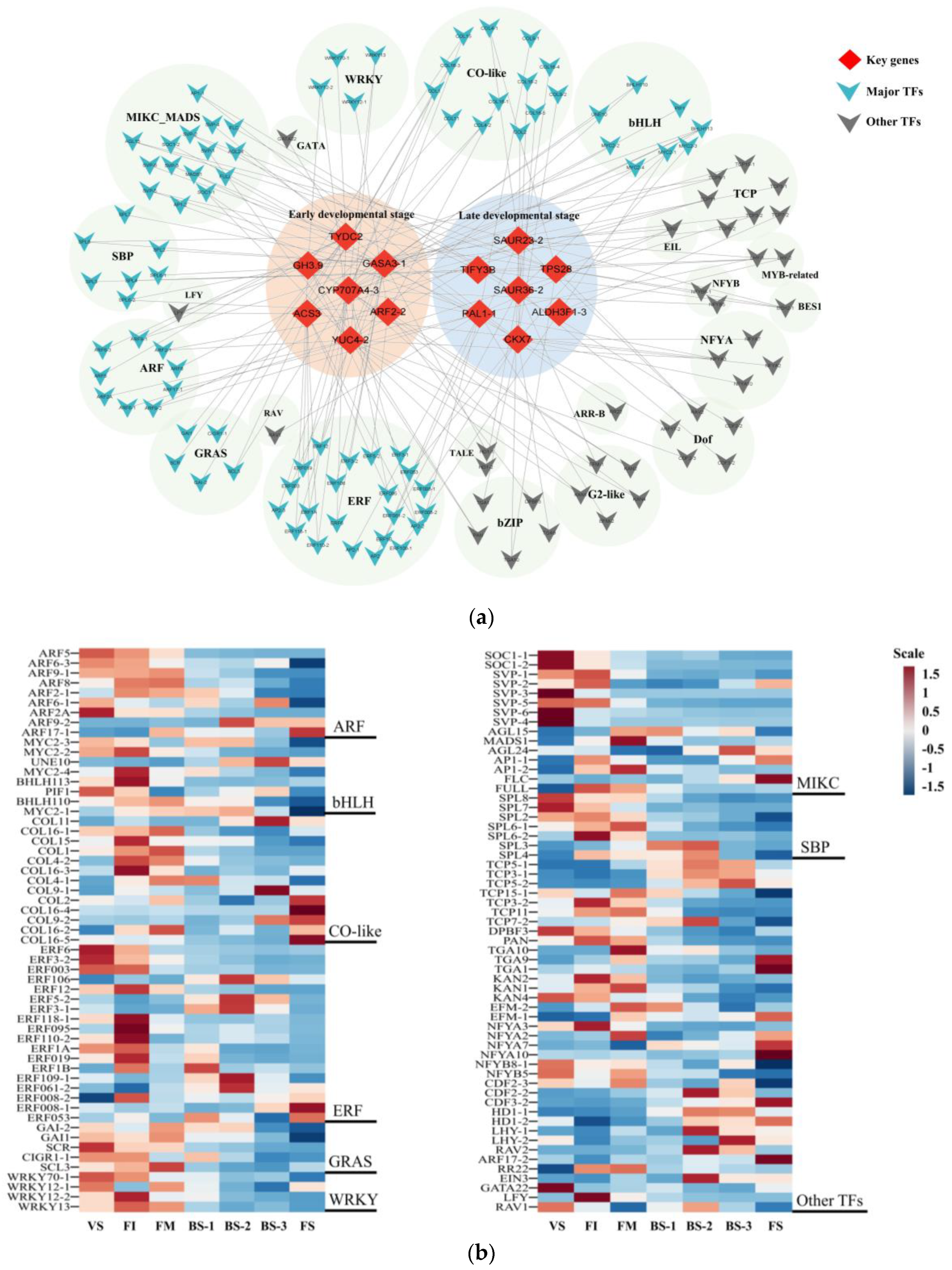 Plants 12 04103 g008