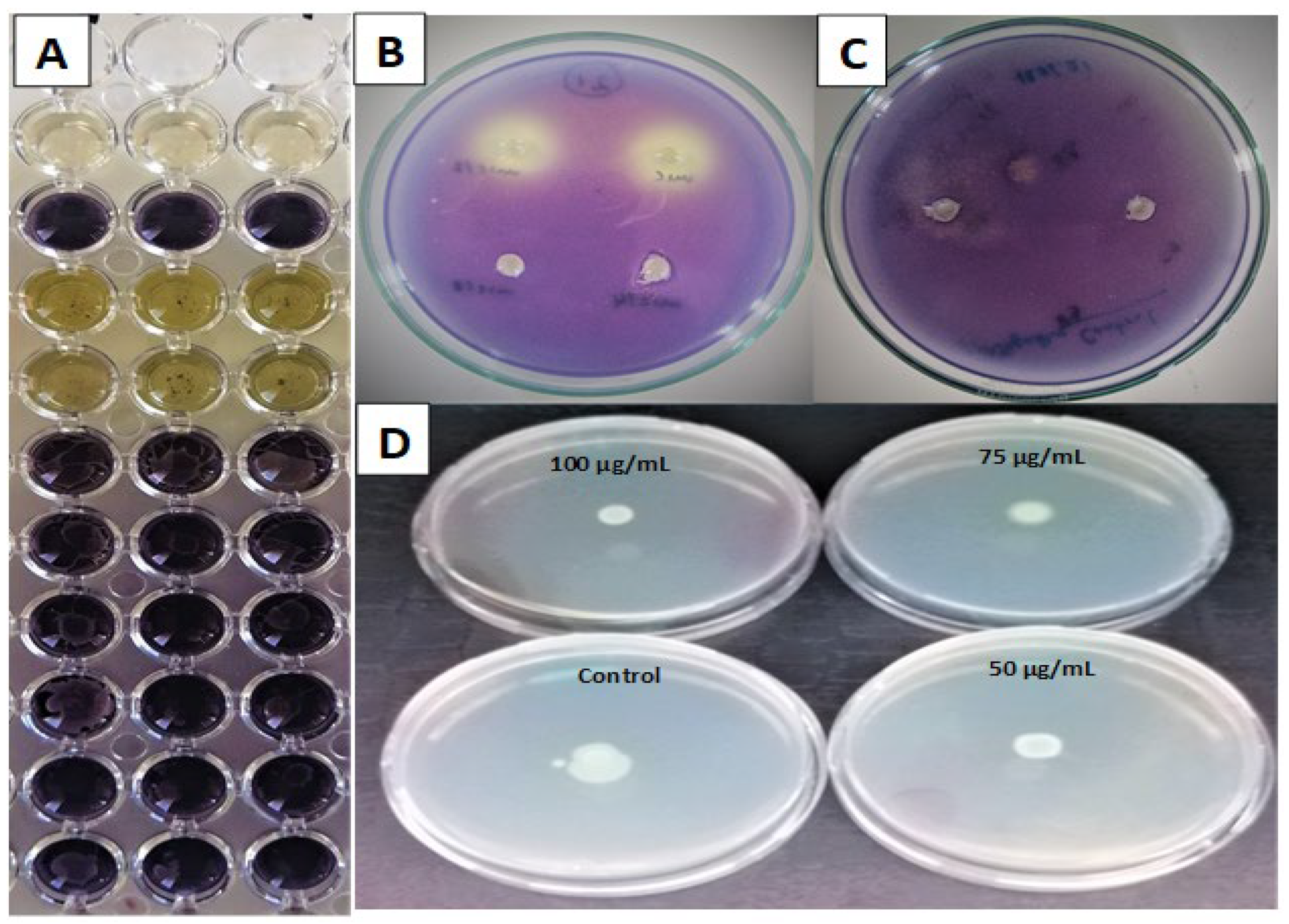 Plants 12 04134 g004 Plants 12 04134 g004