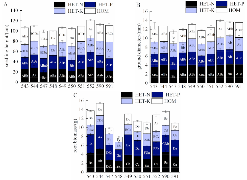 Average height (cm) of diferrent age of plants per provenances