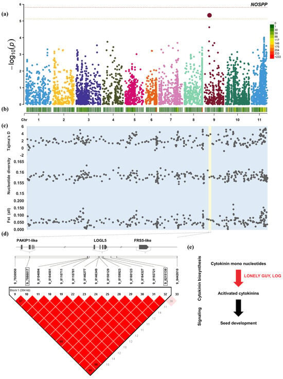 https://www.mdpi.com/plants/plants-12-04154/article_deploy/html/images/plants-12-04154-g003-550.jpg