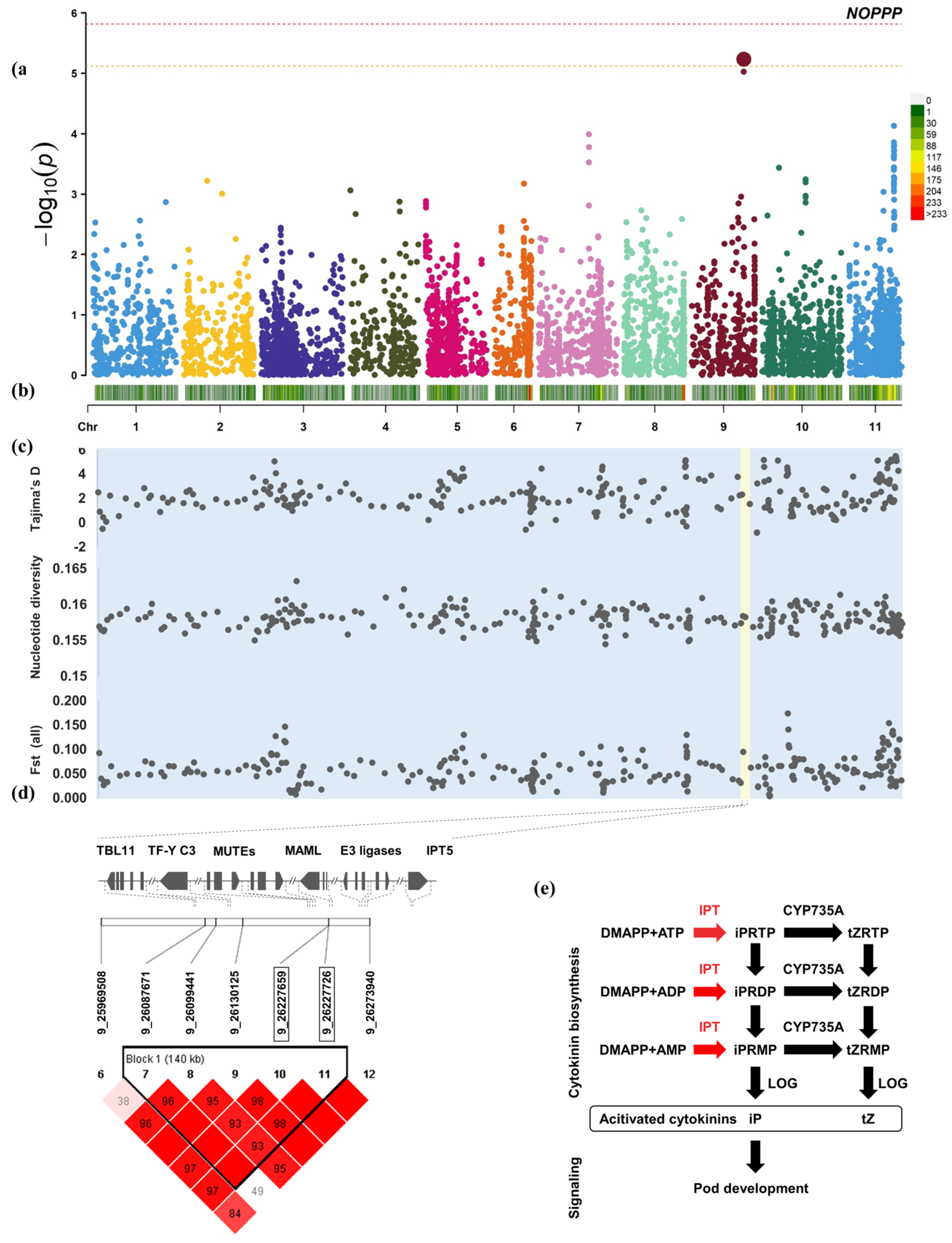 Plants 12 04154 g004 Plants 12 04154 g004