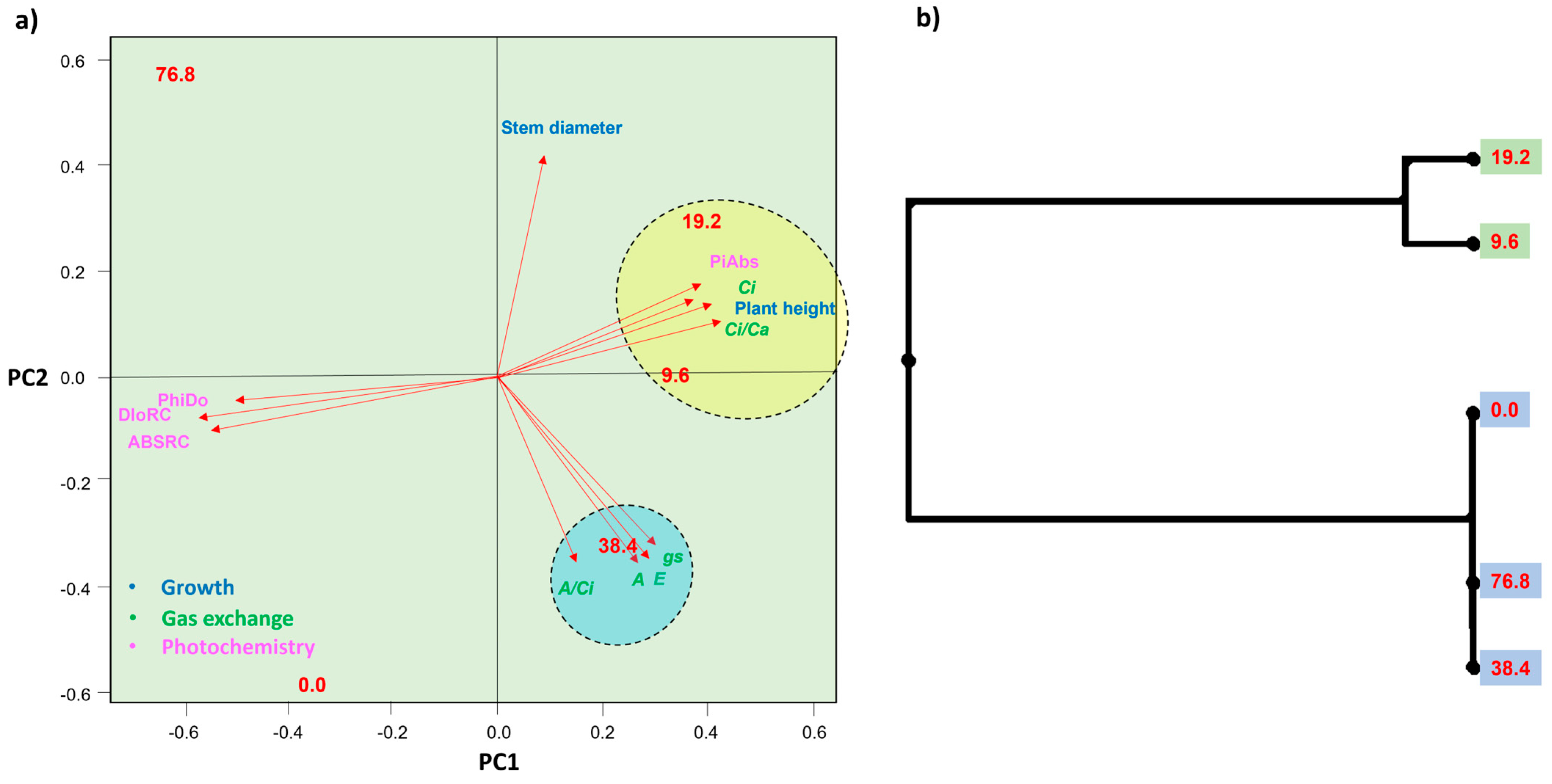 Plants 12 04163 g007