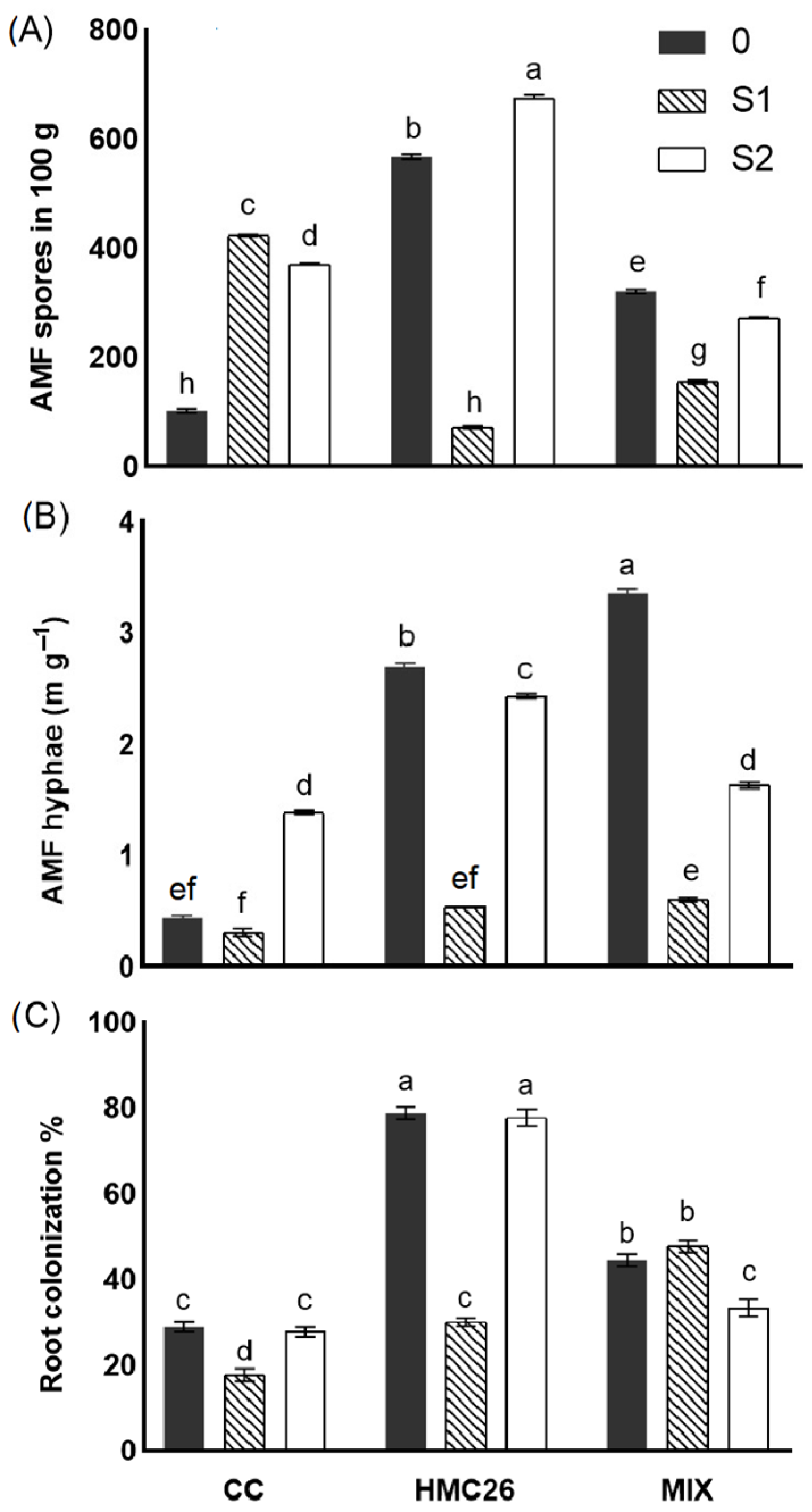 Plants 12 04171 g001