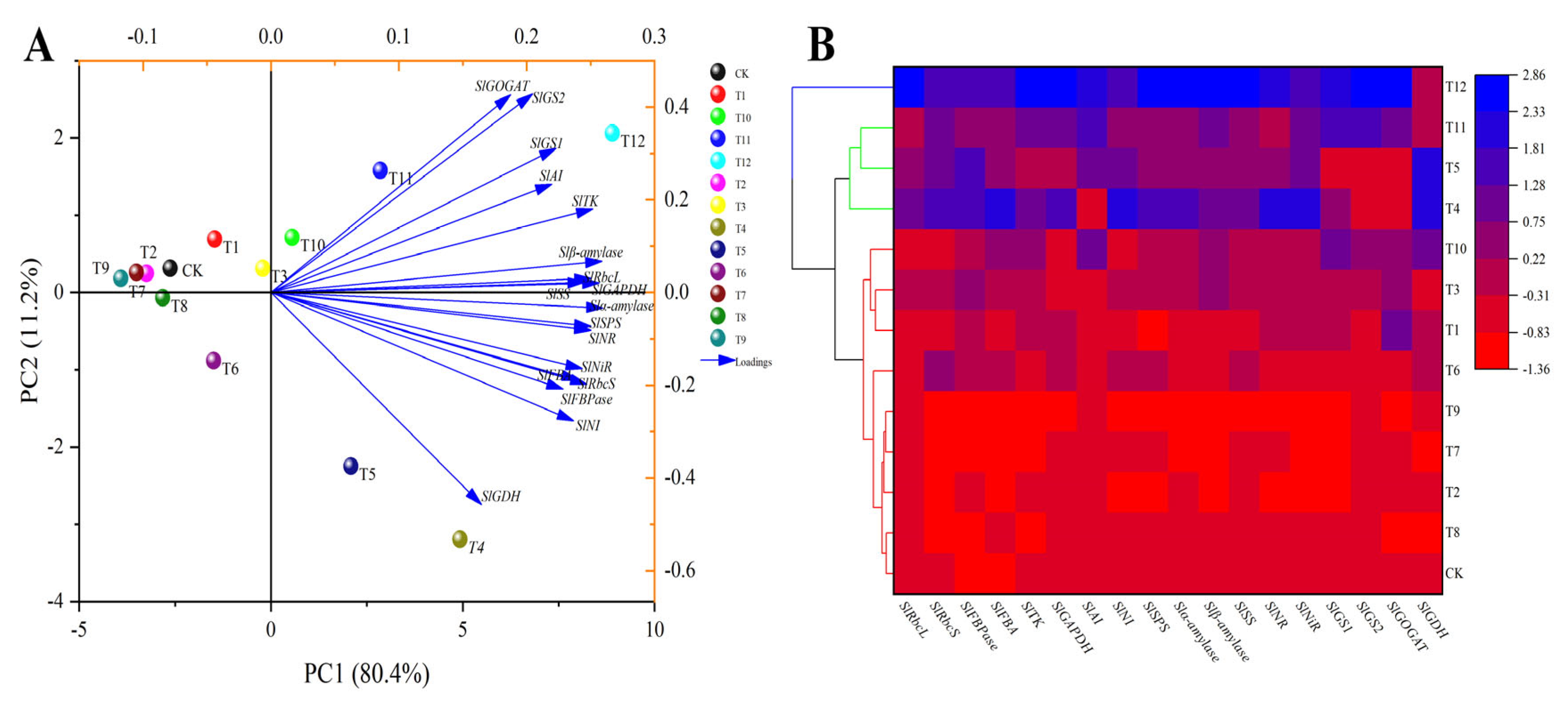 Plants 12 04175 g013