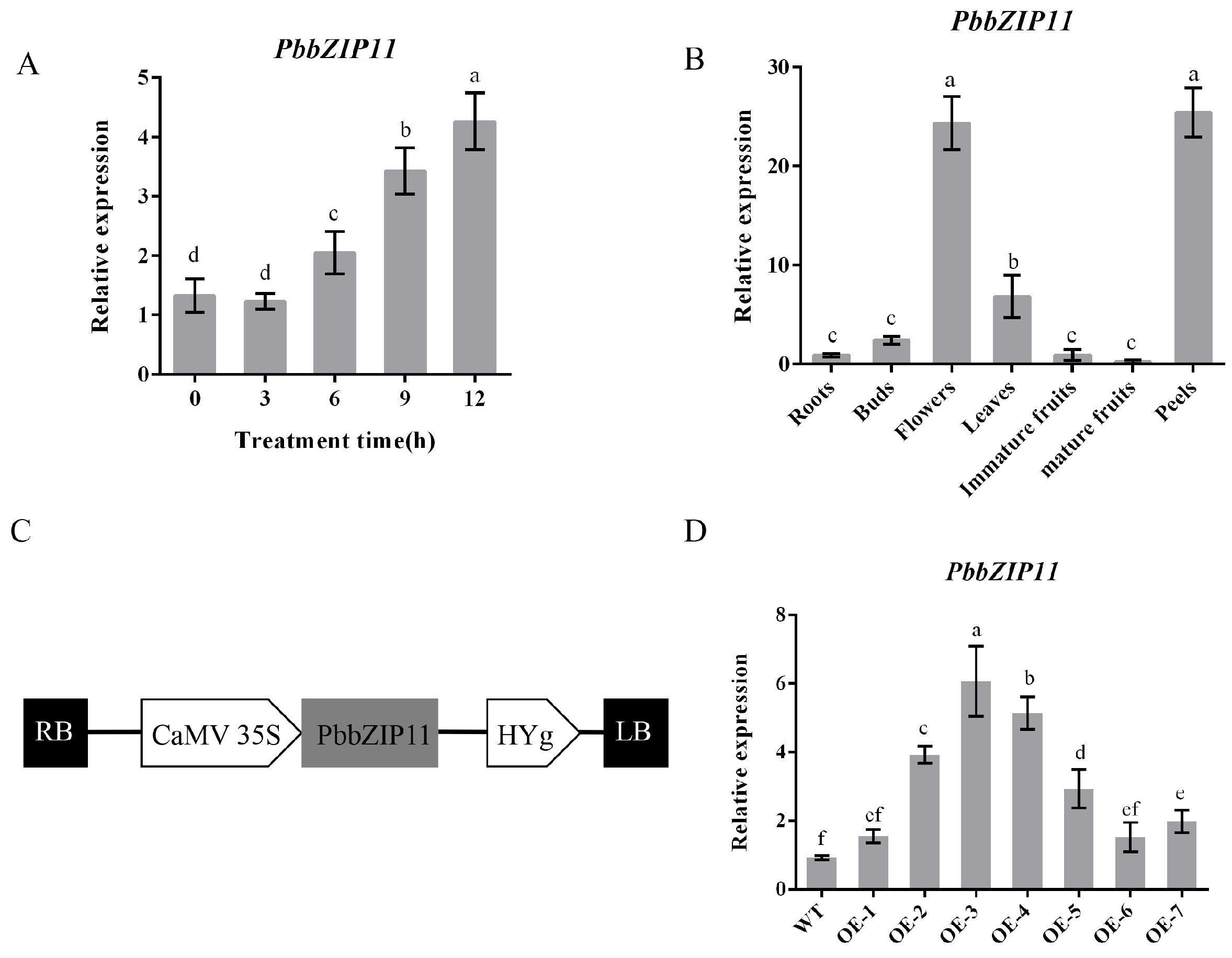 Plants 13 00024 g002