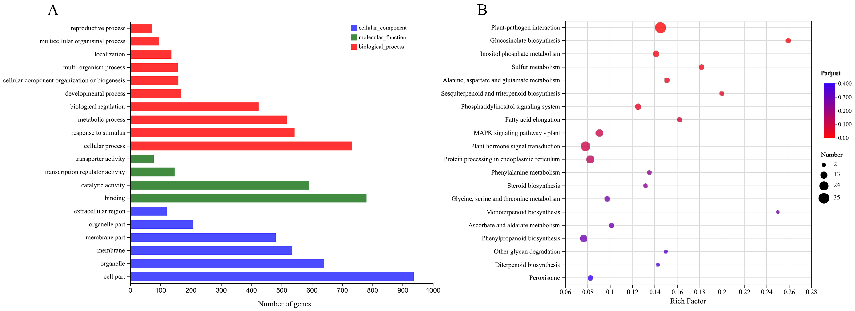 Plants 13 00024 g007