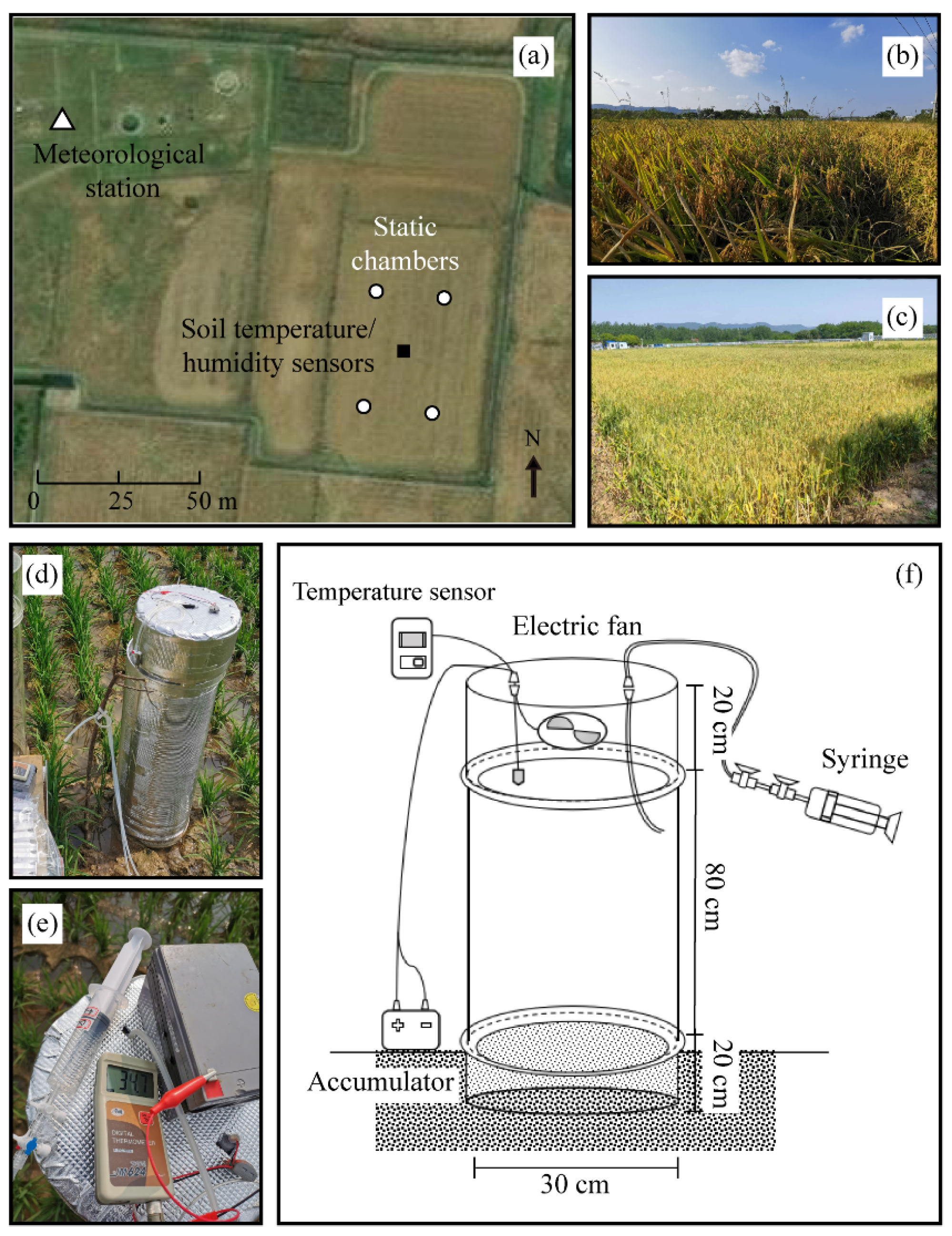 Plants 13 00025 g002