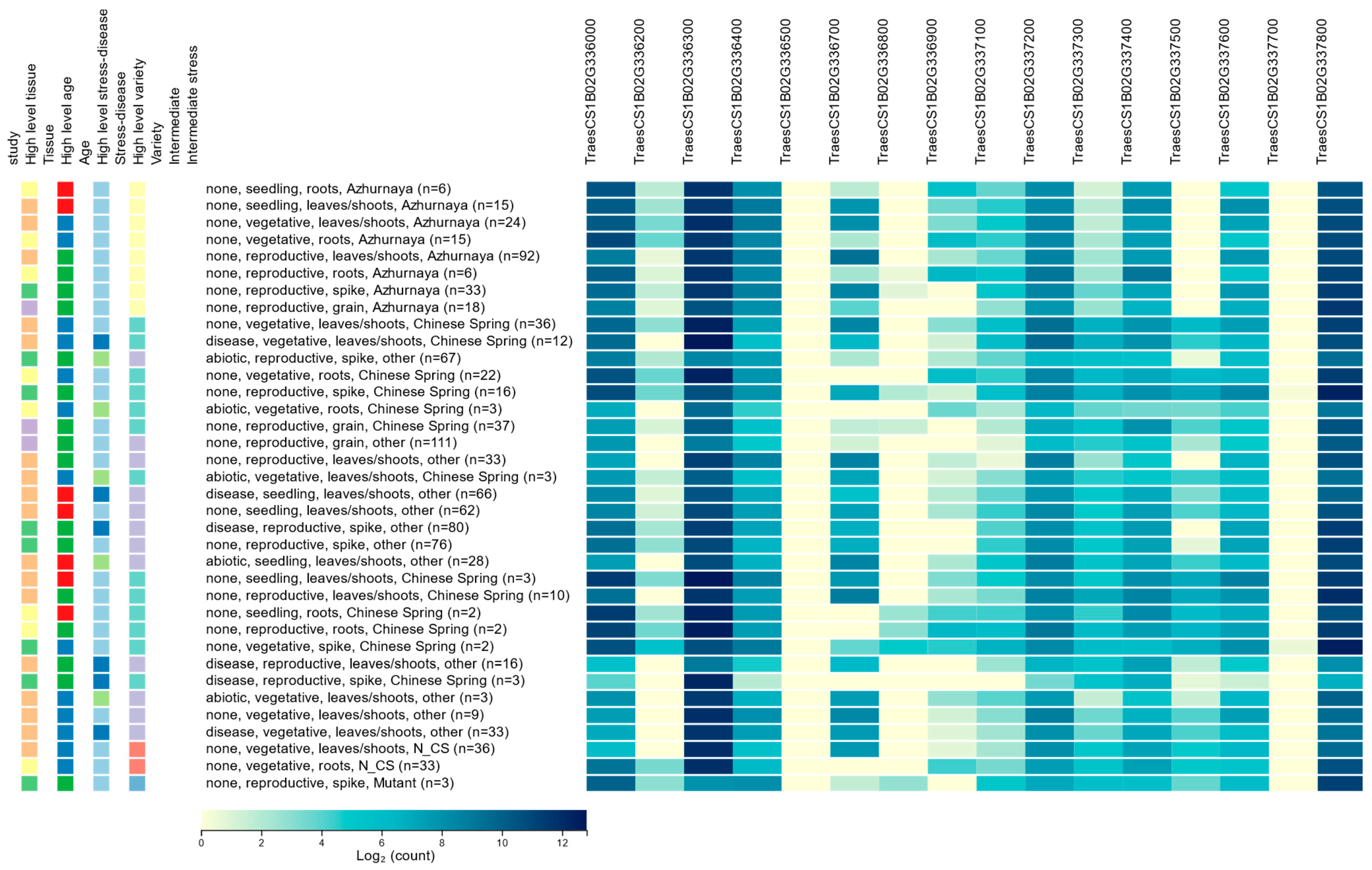 Plants 13 00026 g001