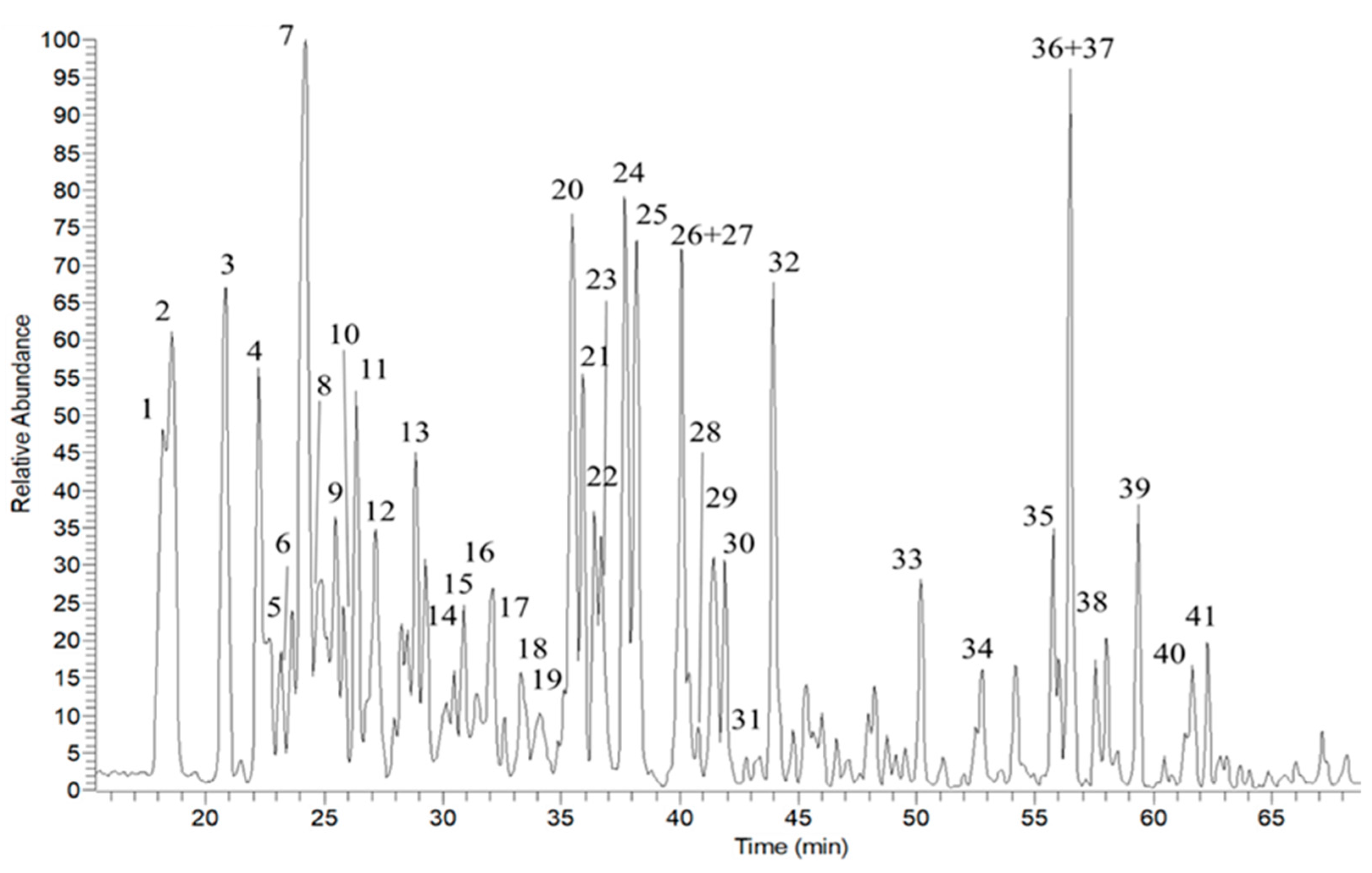 Plants 13 00034 g002