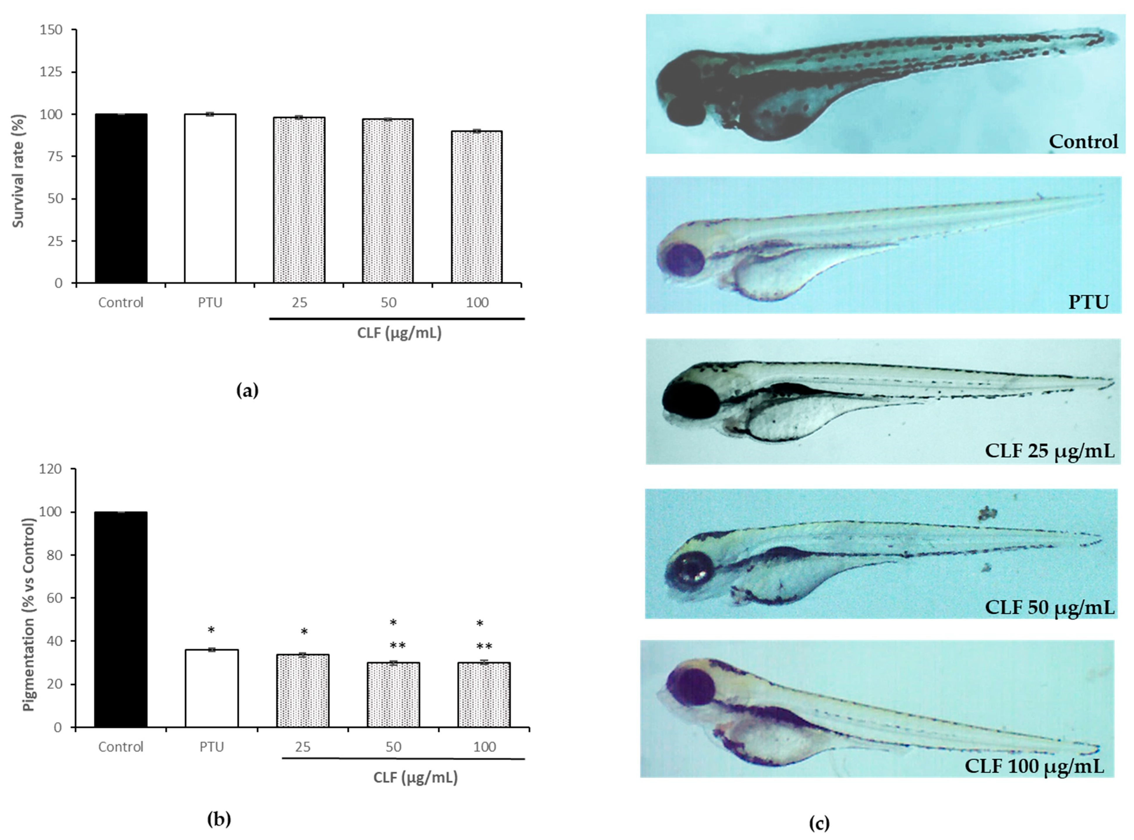 Plants 13 00034 g003