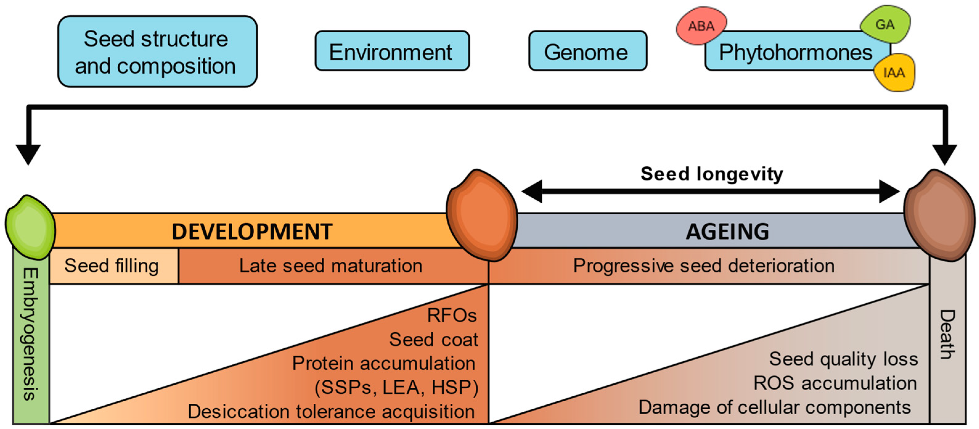 Plants 13 00041 g001