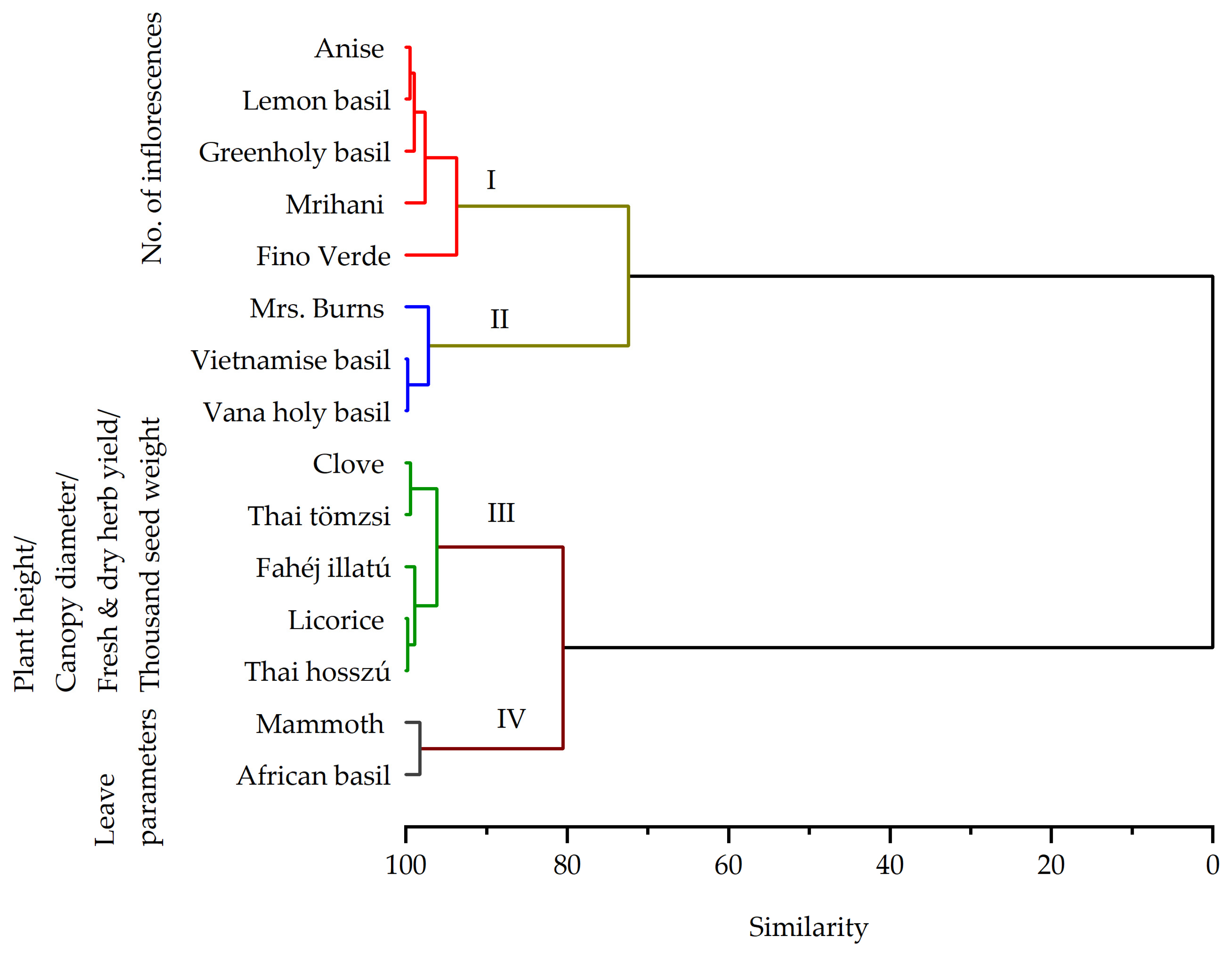 Plants Free Full Text Phenotypic Variations and Bioactive