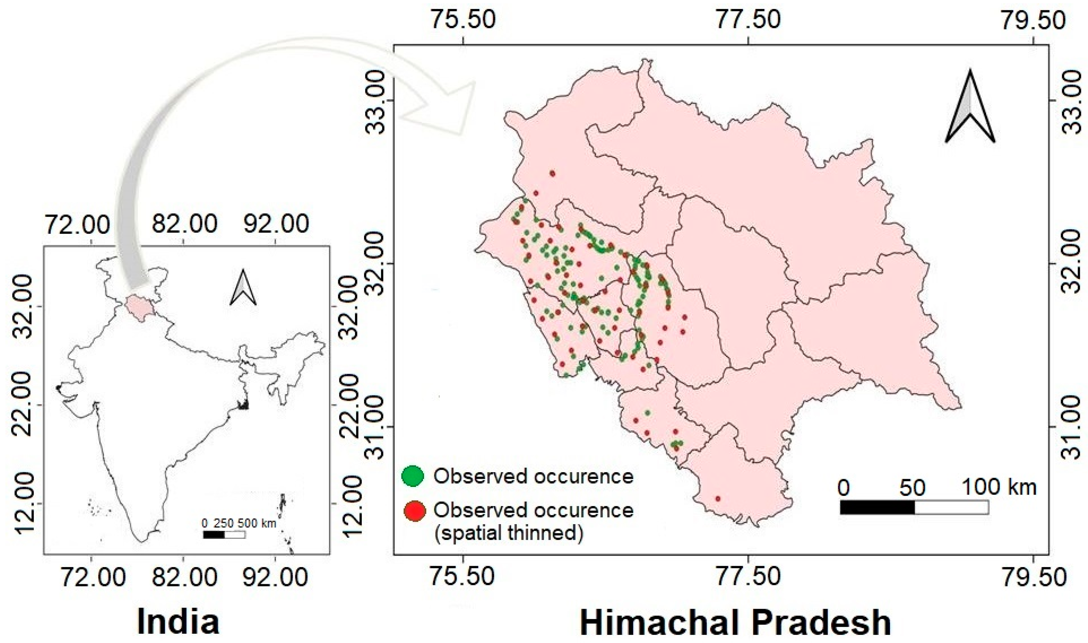 Plants 13 00068 g001