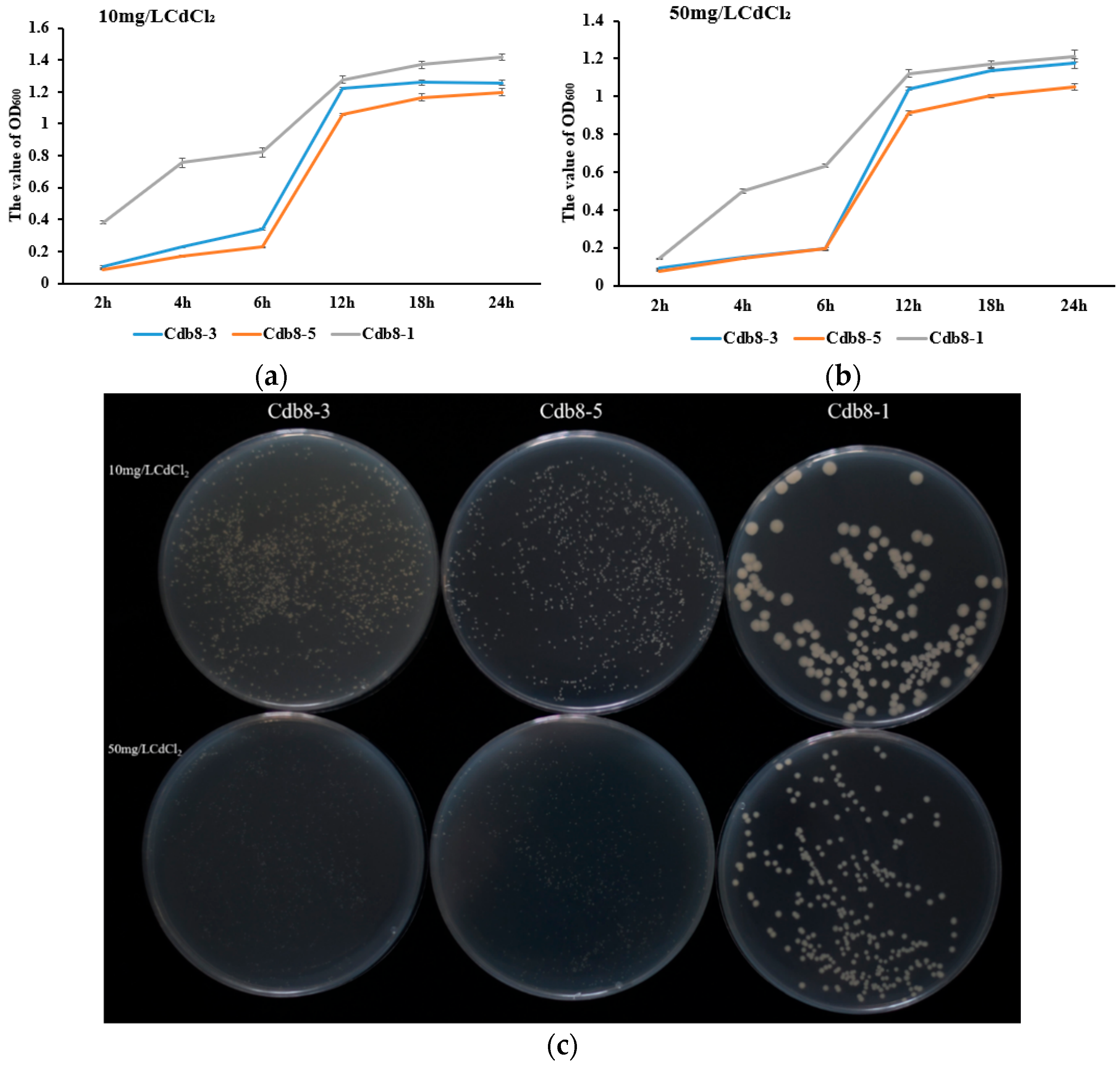 Plants 13 00076 g001