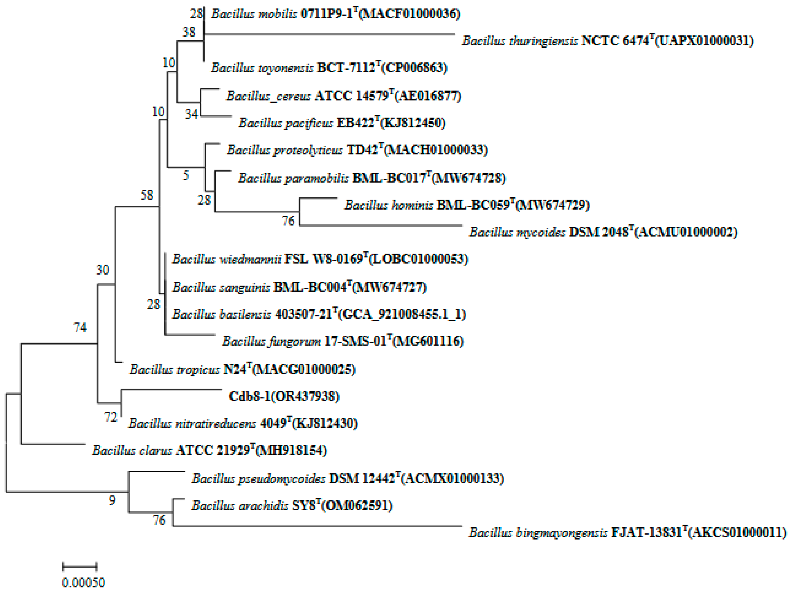 Plants 13 00076 g002