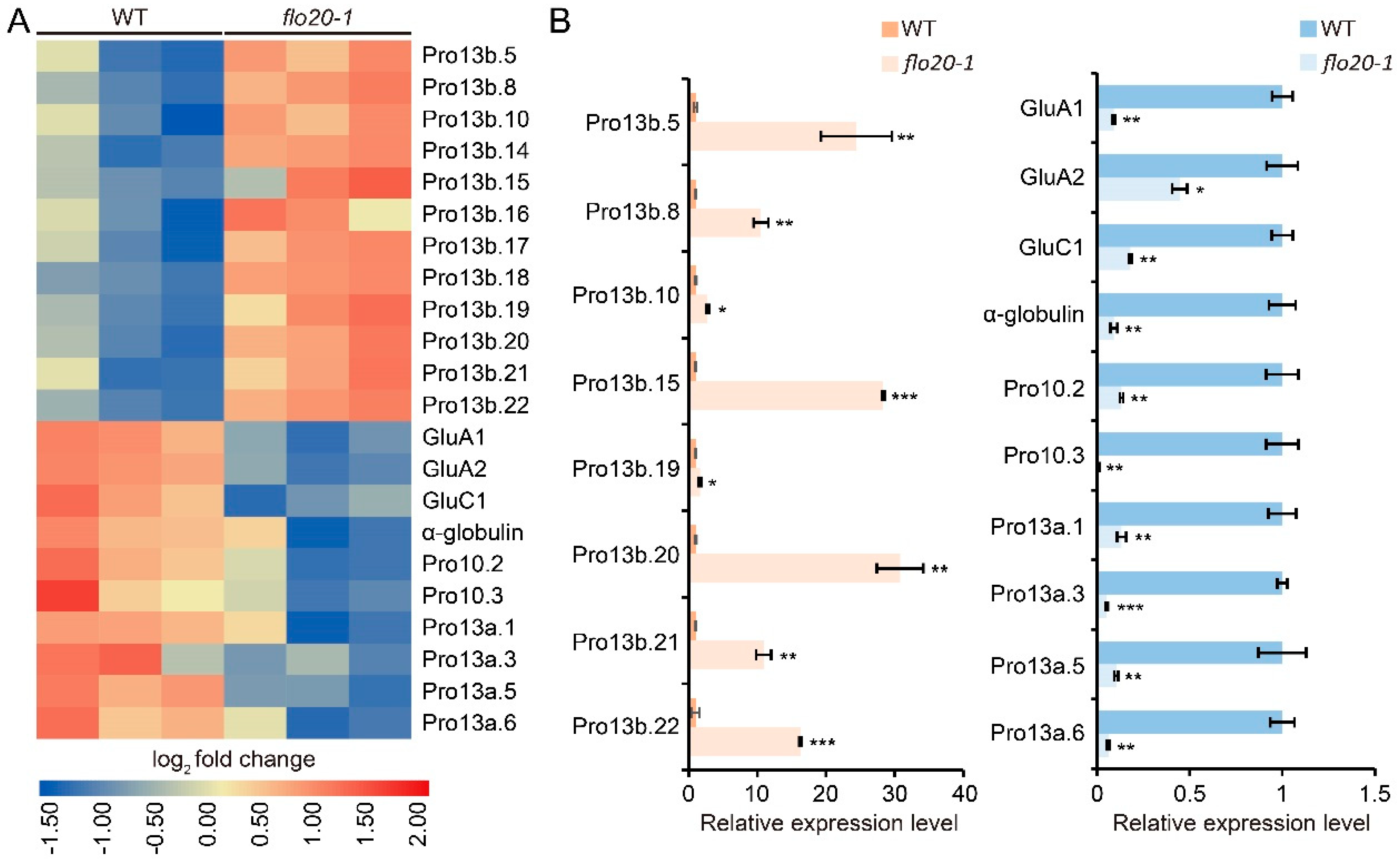 Plants 13 00081 g008