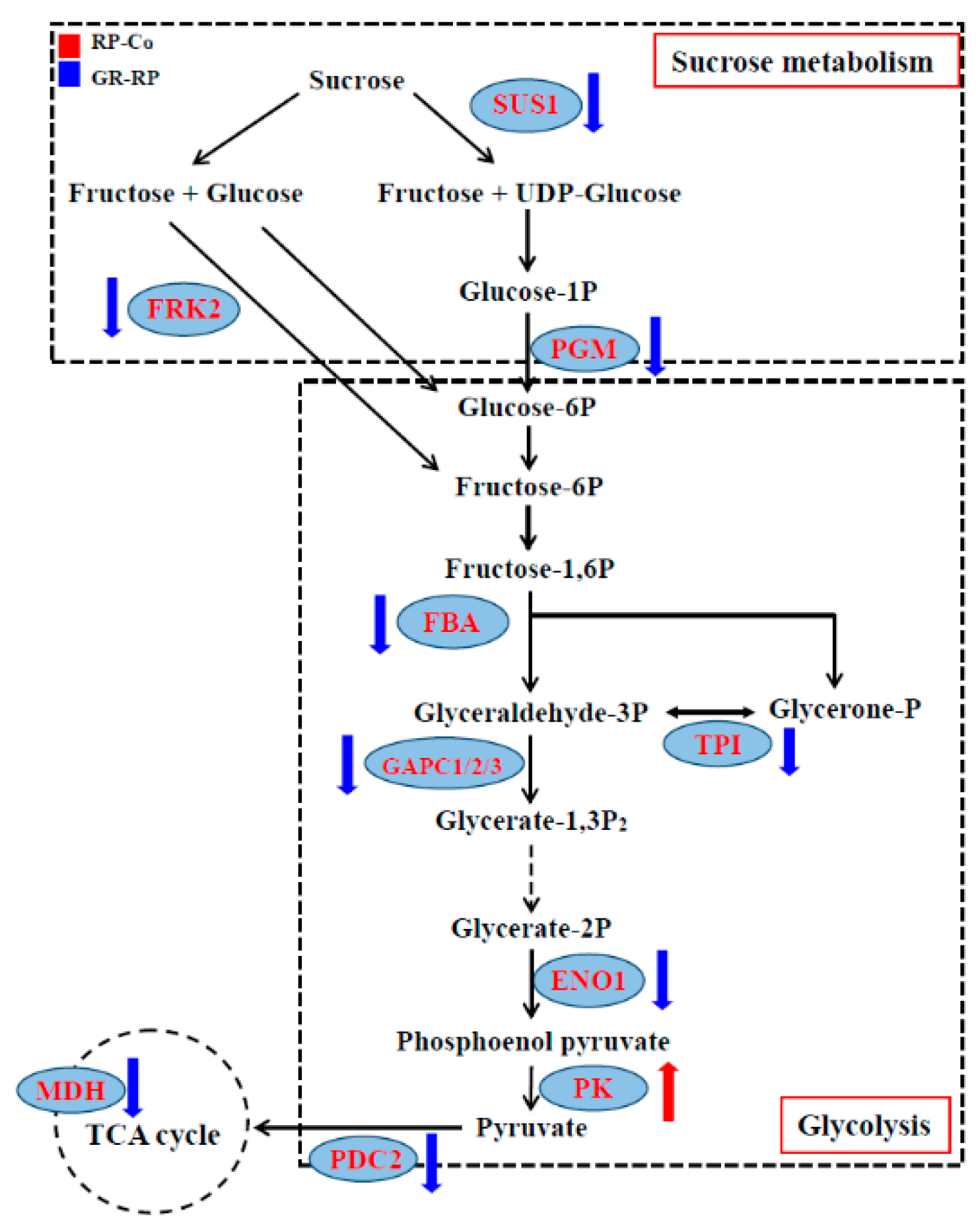 Plants 13 00091 g005
