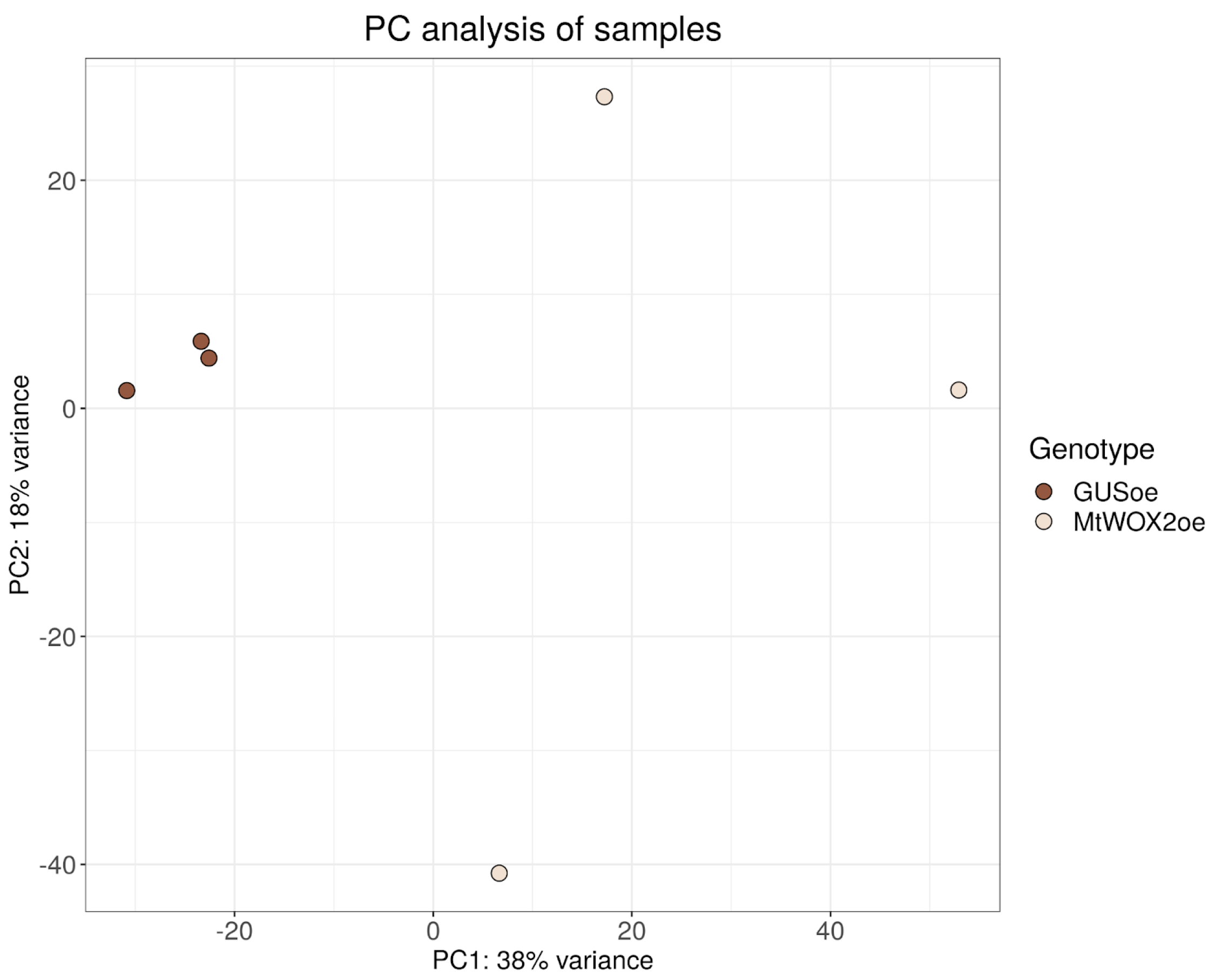 Plants 13 00102 g002