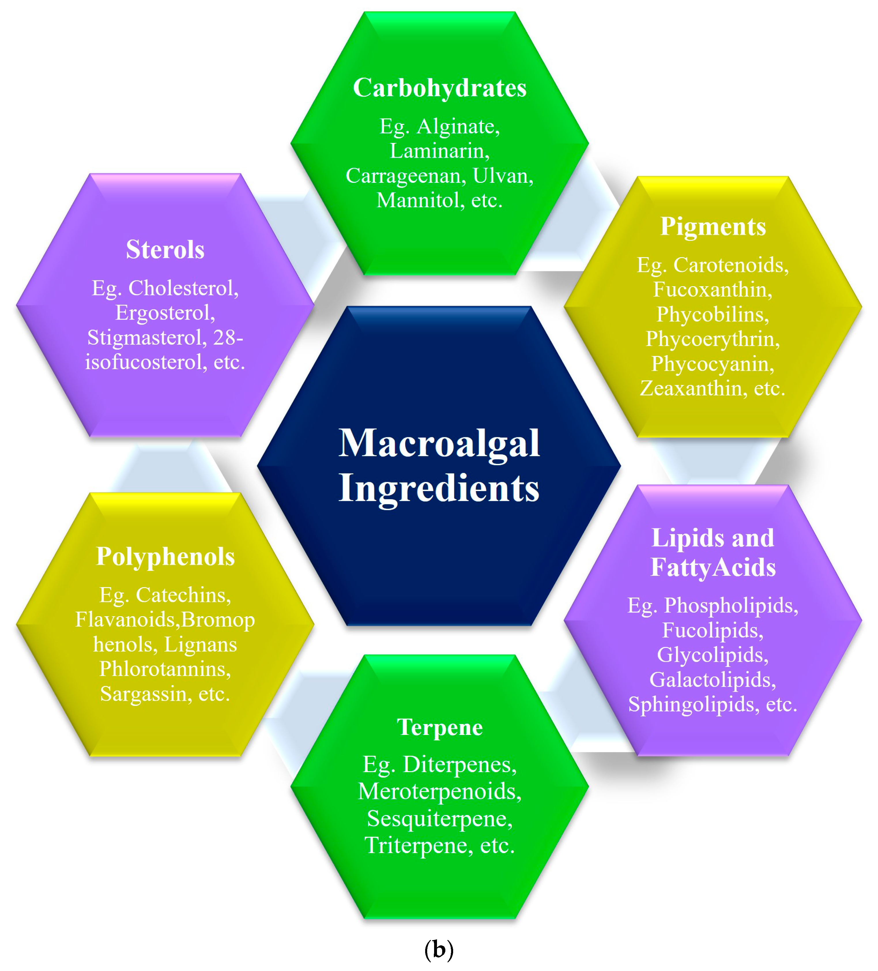 Plants 13 00113 g001b