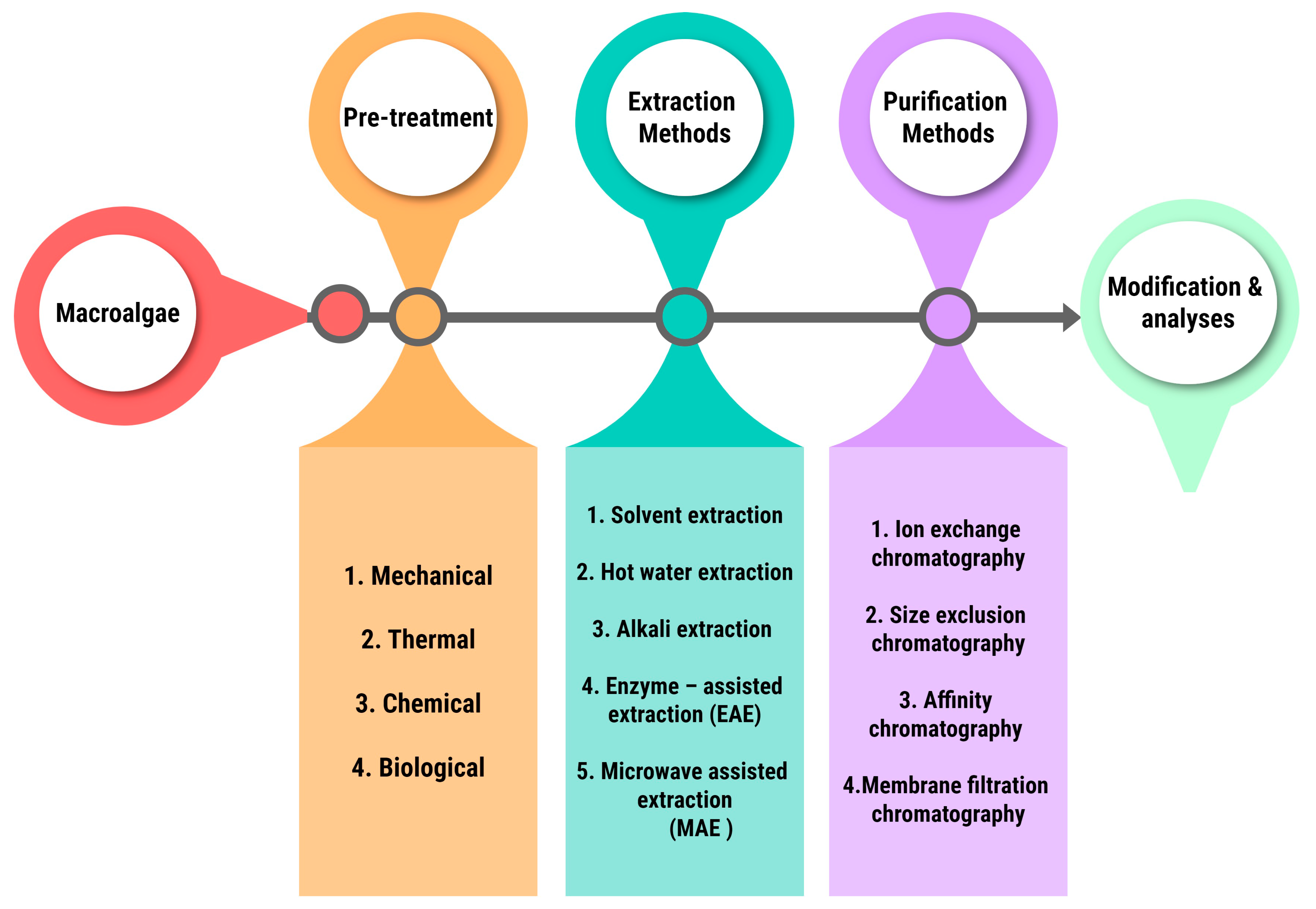 Plants 13 00113 g003