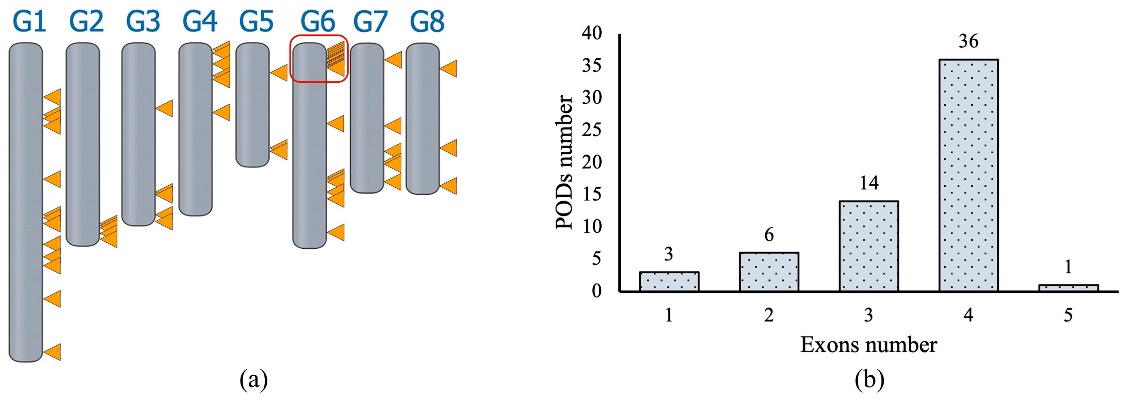 Plants 13 00127 g001
