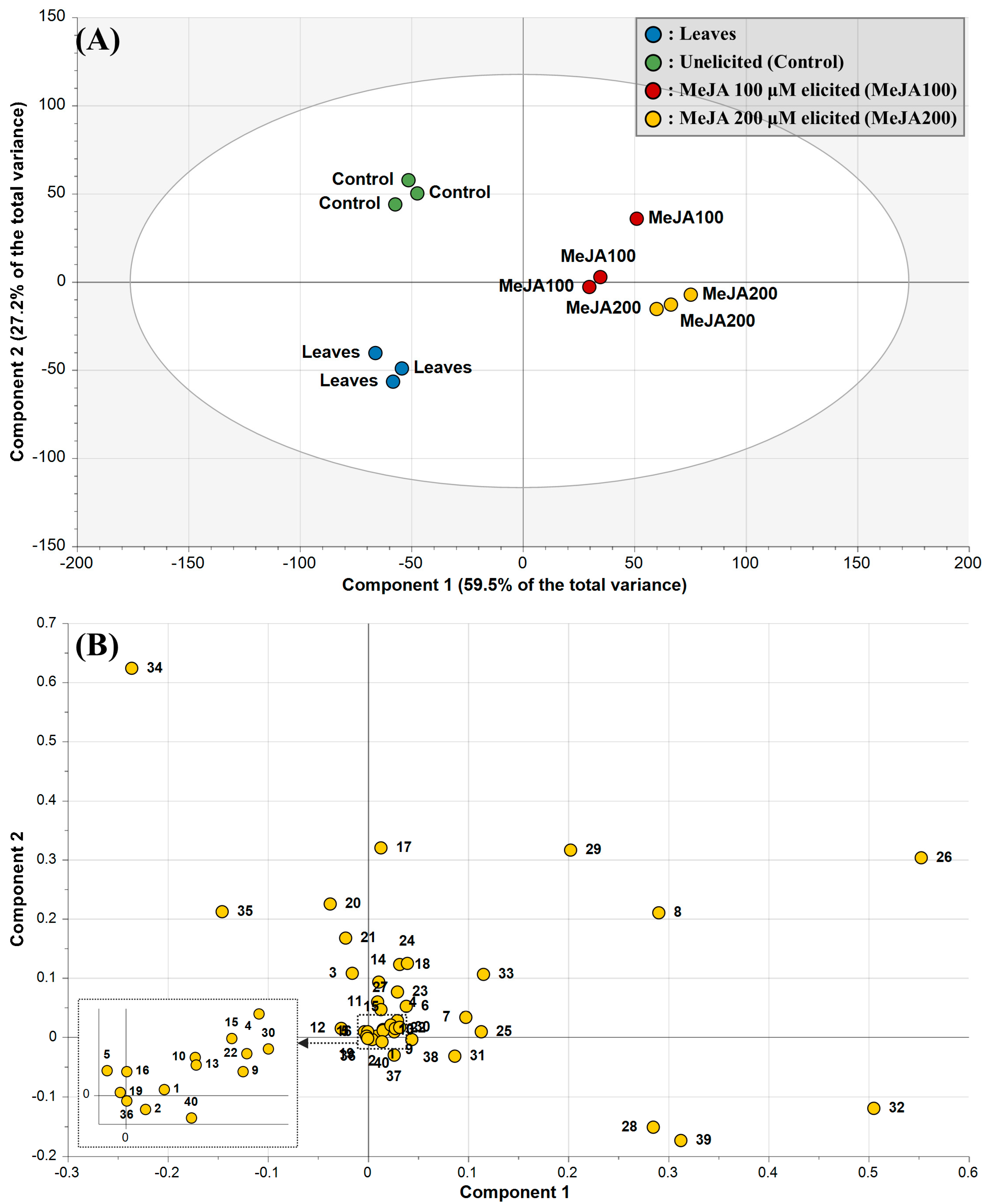 Plants 13 00167 g003