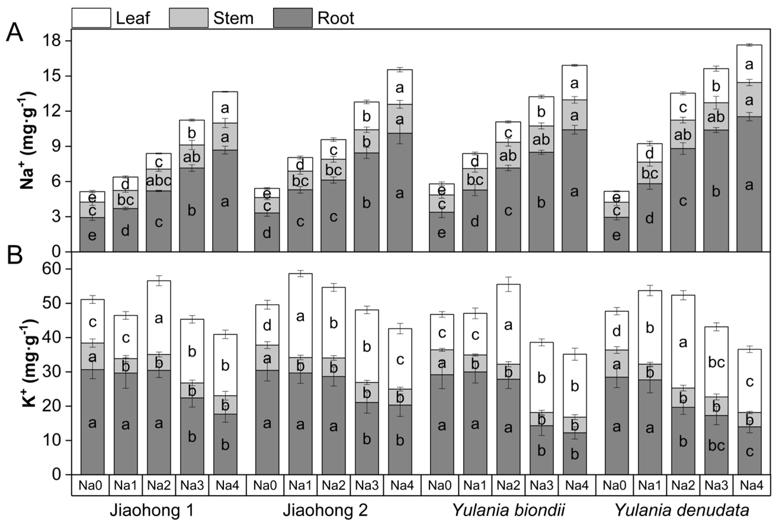 Plants 13 00170 g007