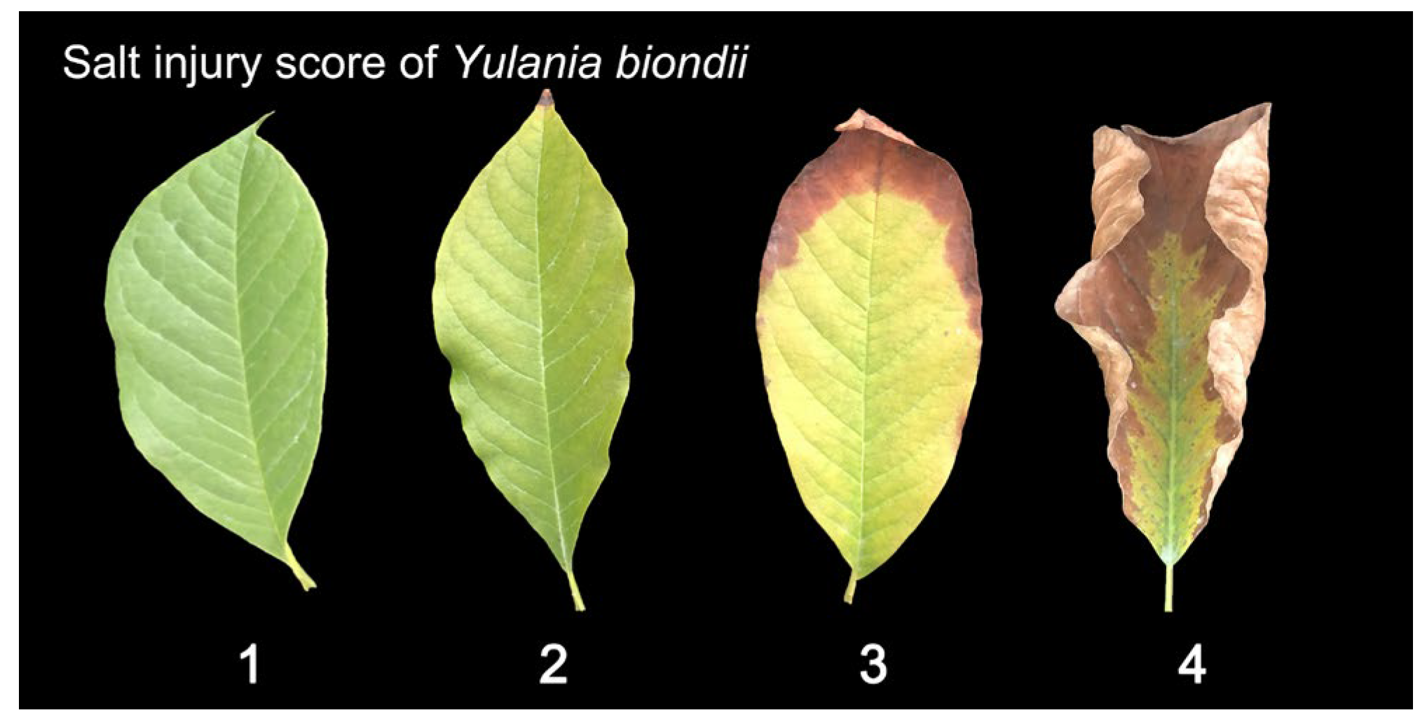 Plants 13 00170 g010