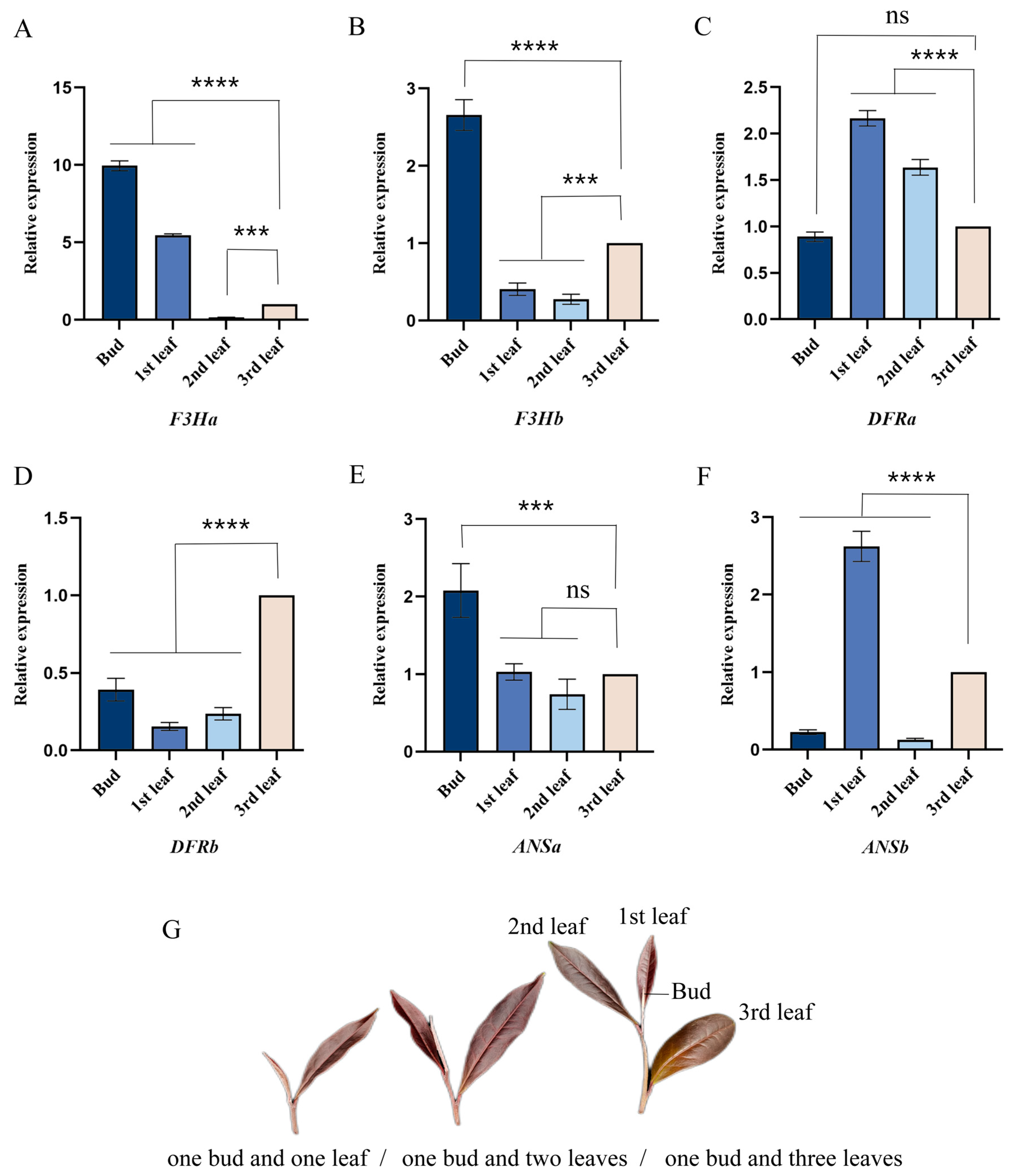 Plants 13 00196 g002