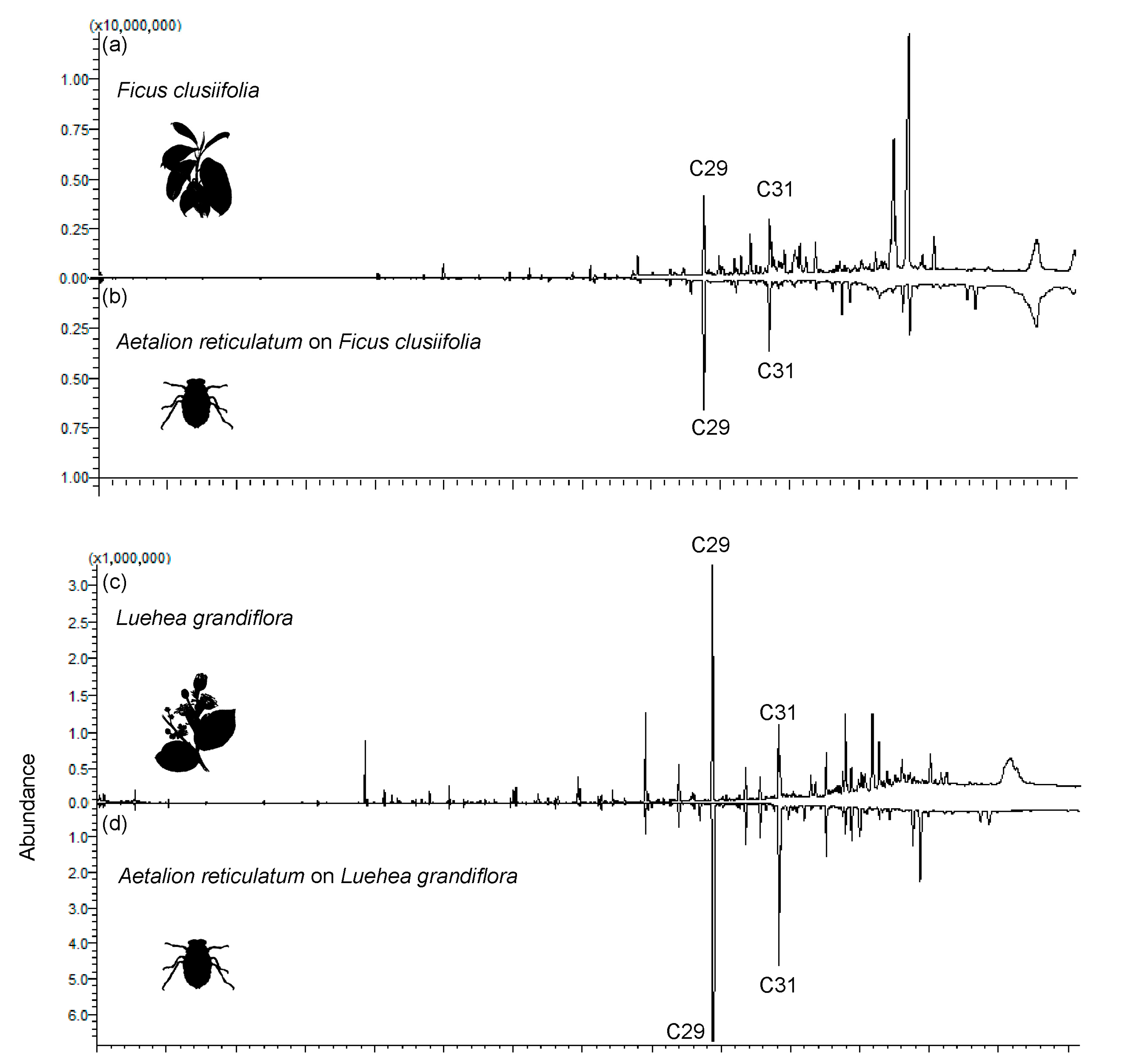 Plants 13 00216 g001a Plants 13 00216 g001a