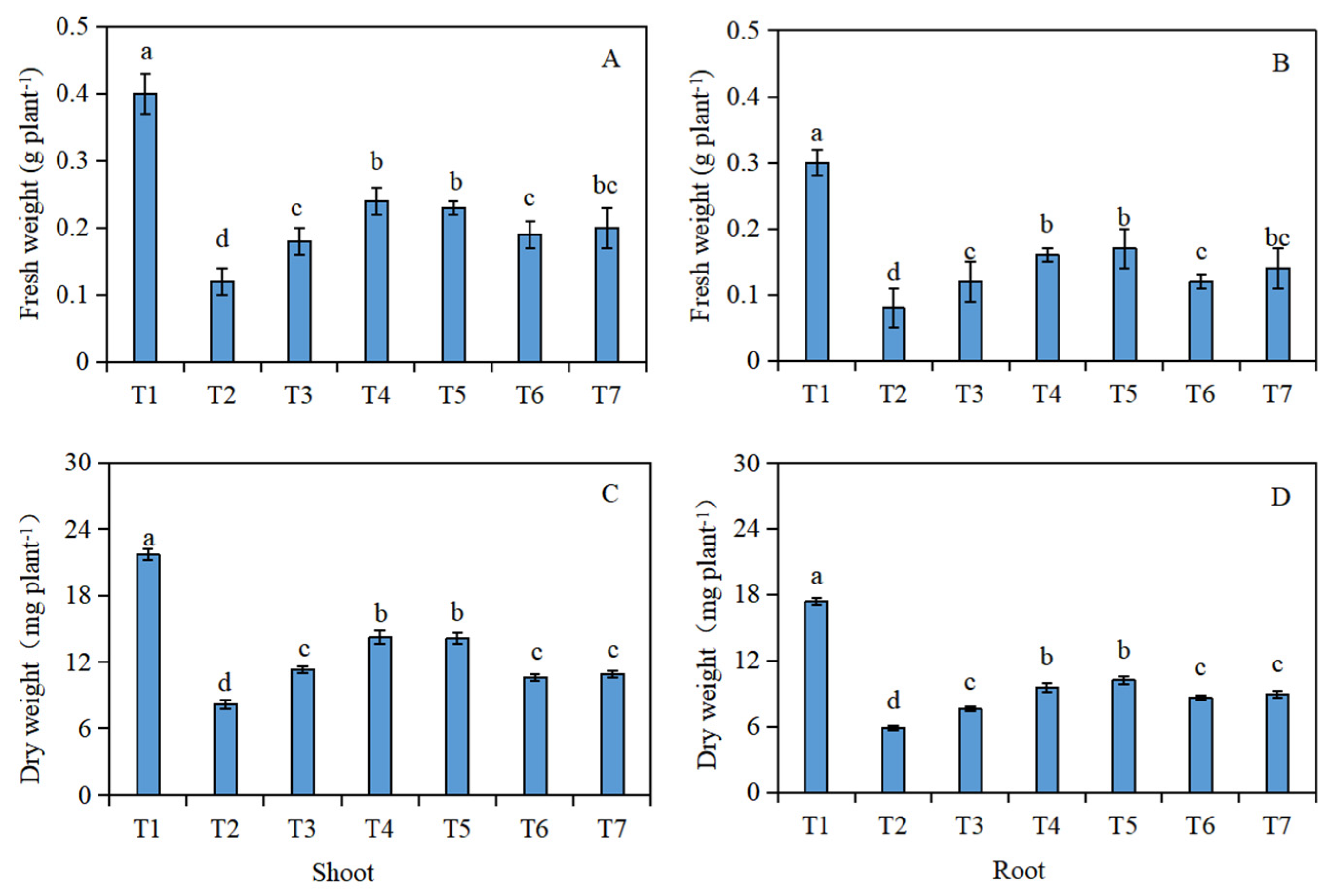 Plants 13 00217 g001