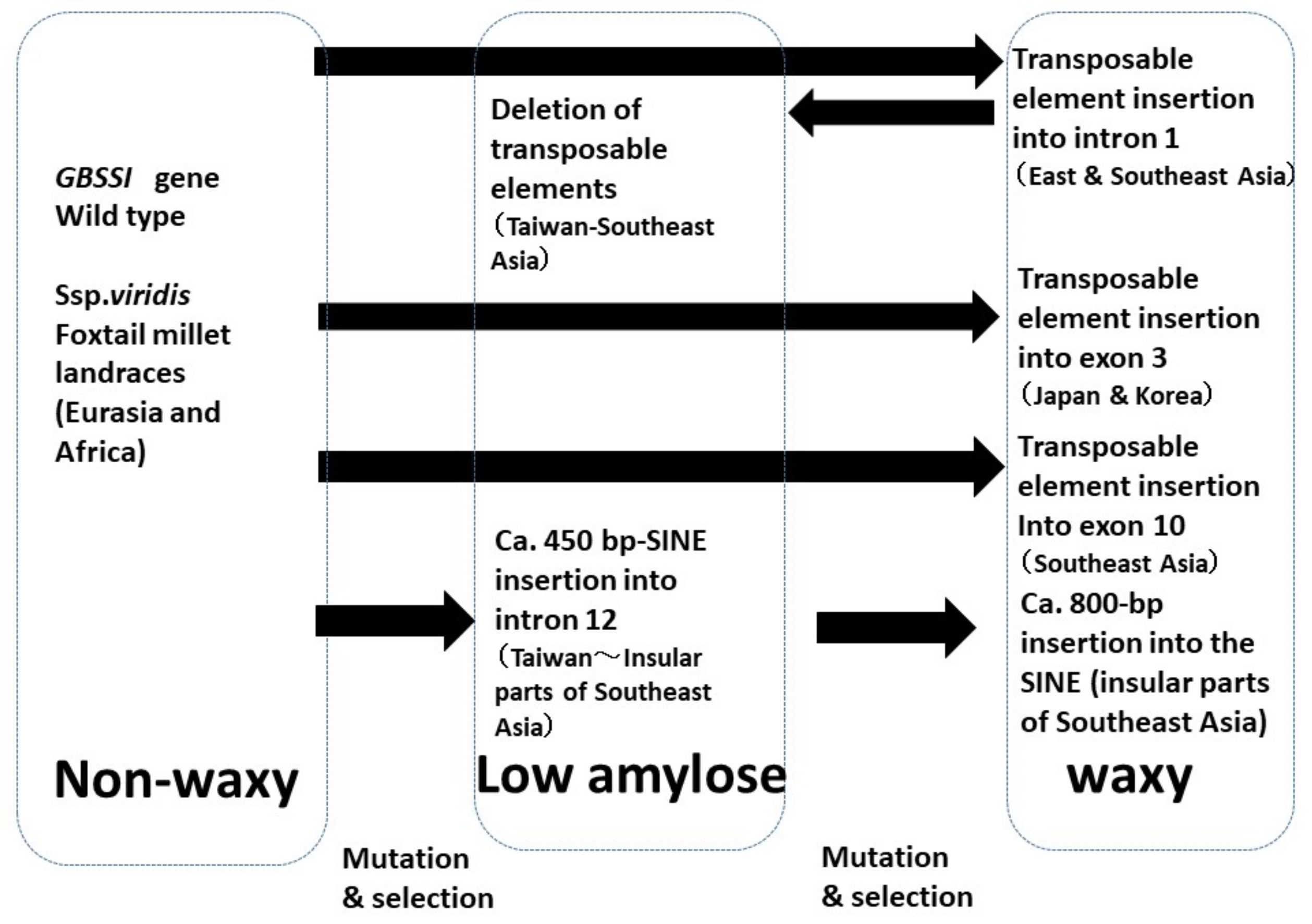 Plants 13 00218 g002 Plants 13 00218 g002