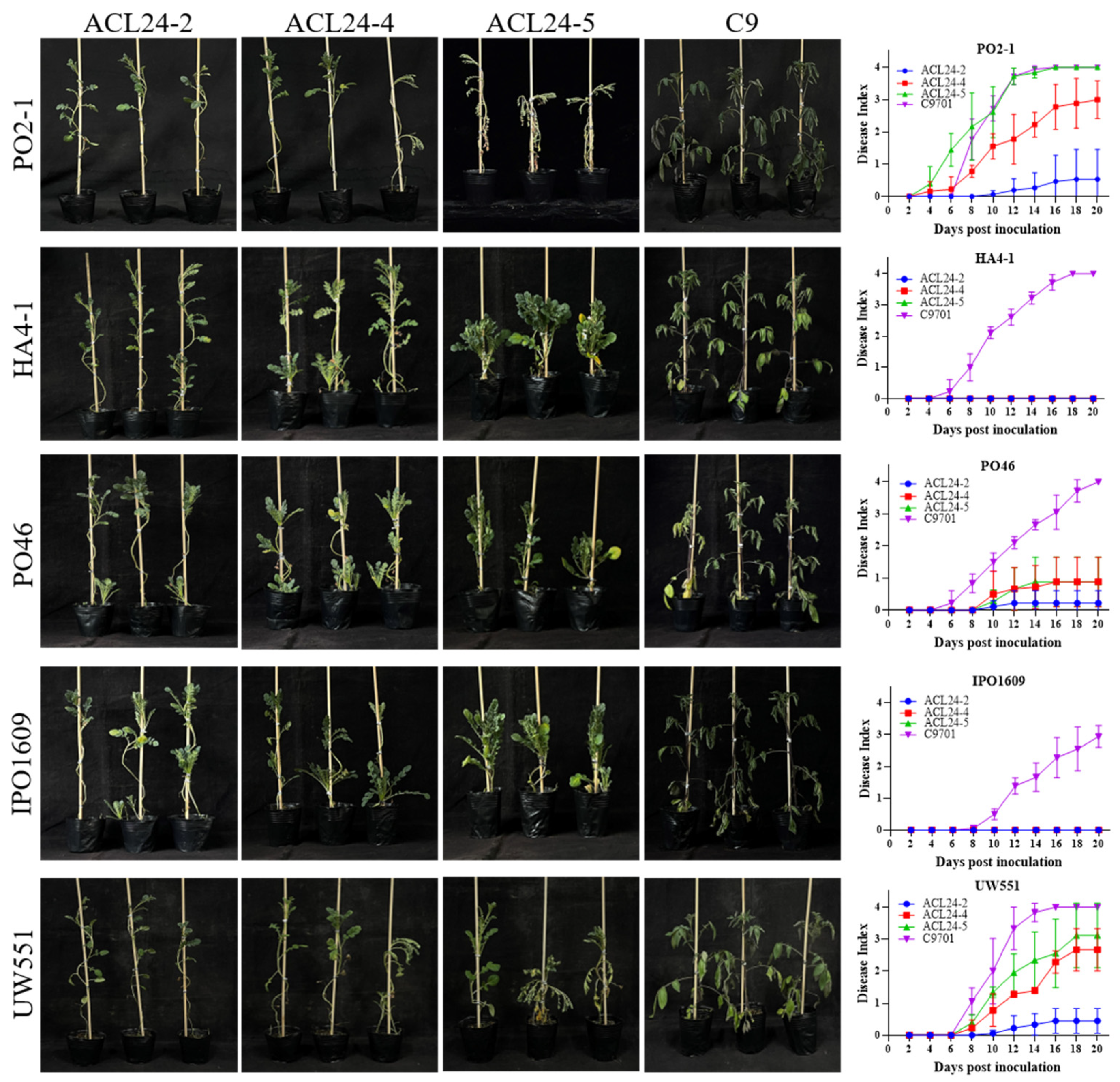 Plants 13 00220 g002