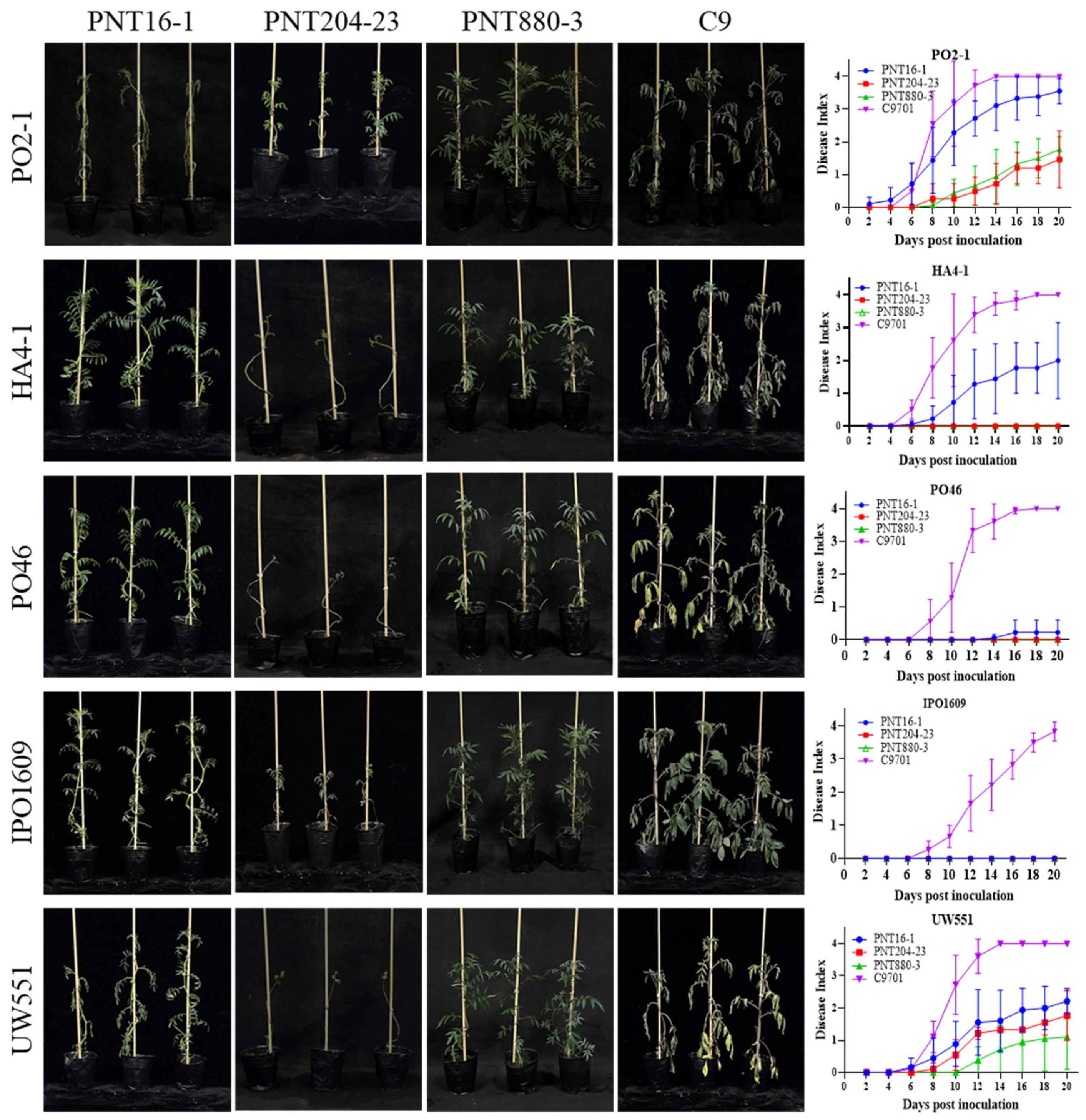 Plants 13 00220 g003