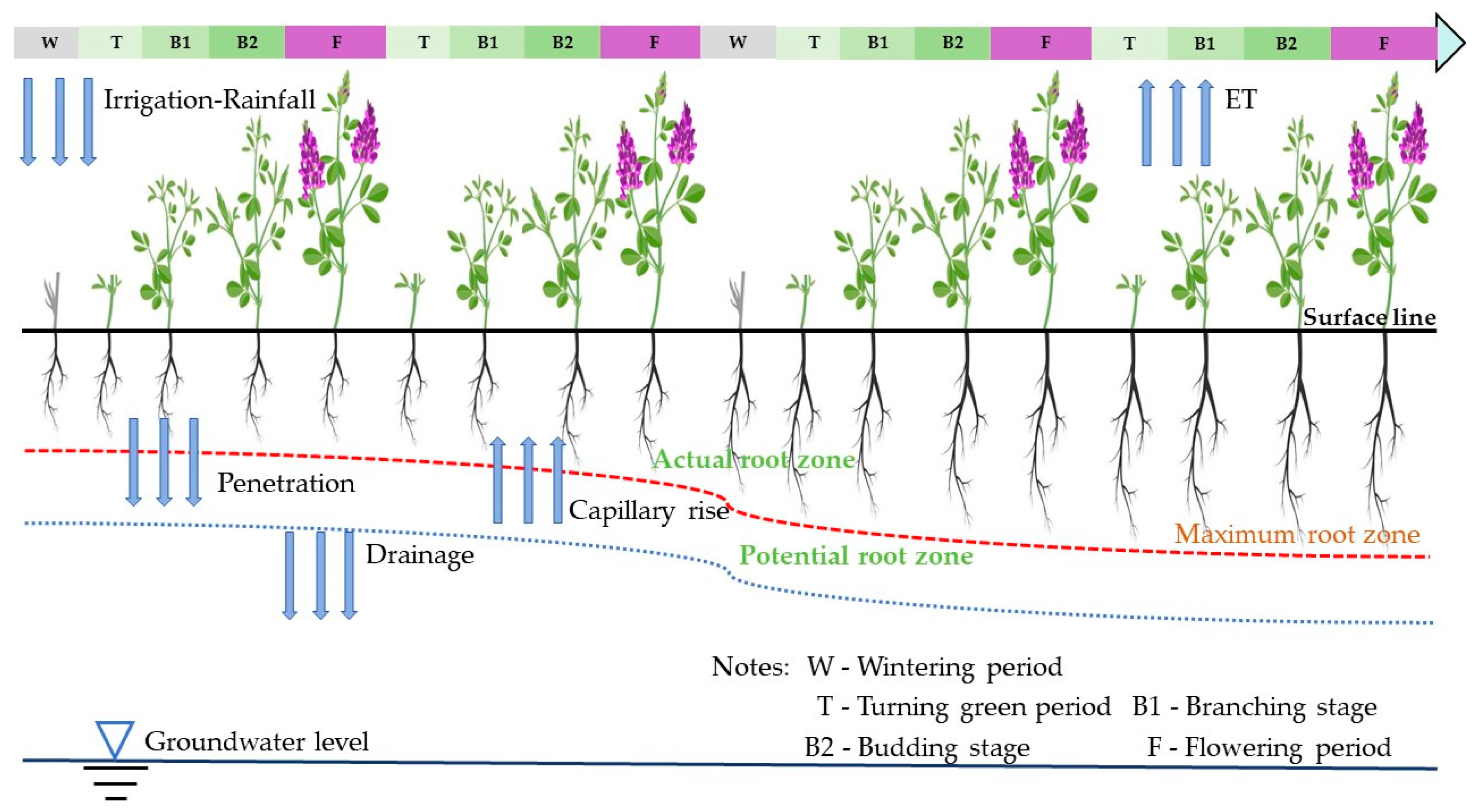 Plants 13 00229 g008