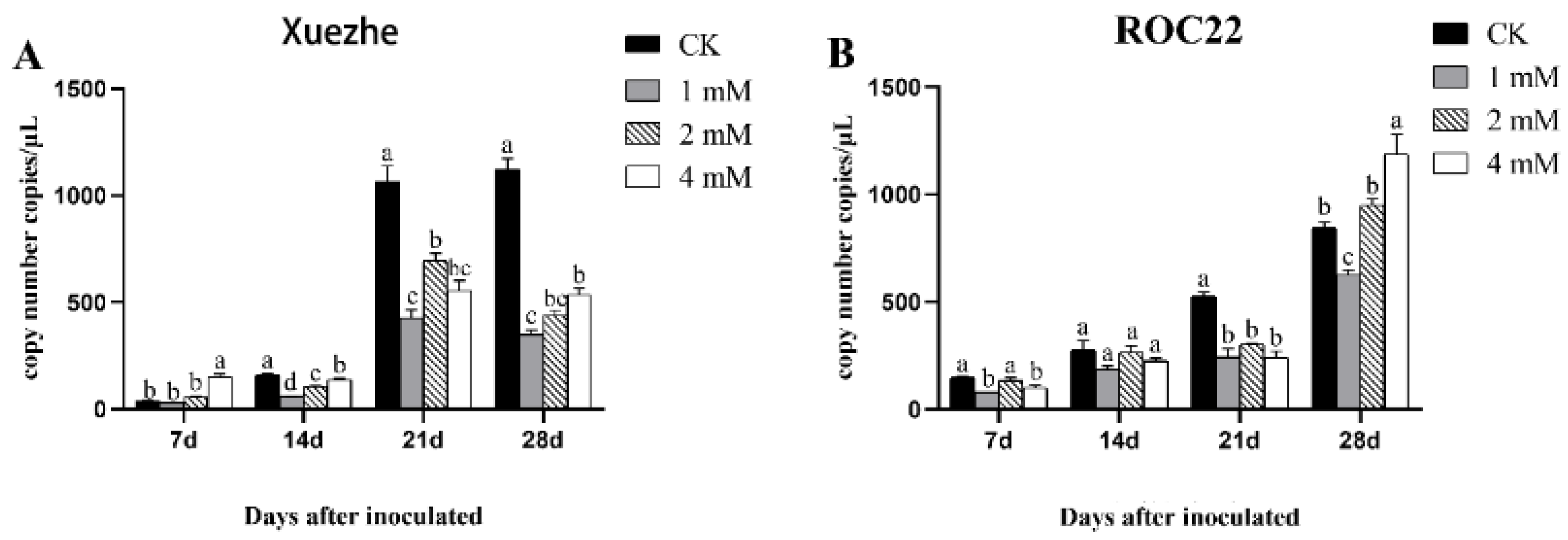 Plants 13 00234 g001