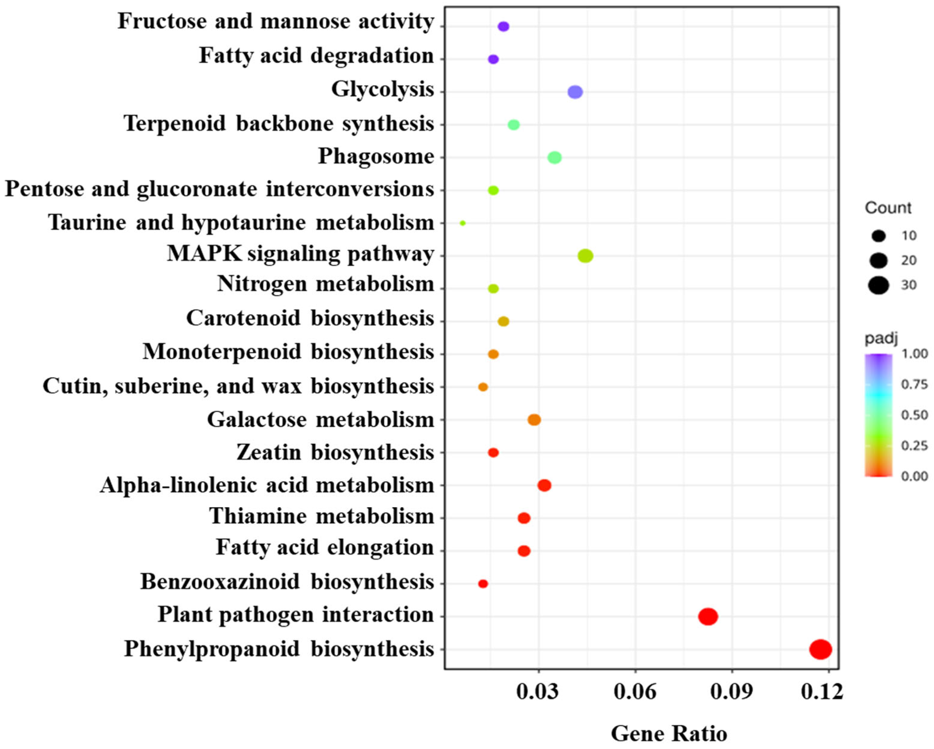 Plants 13 00234 g003