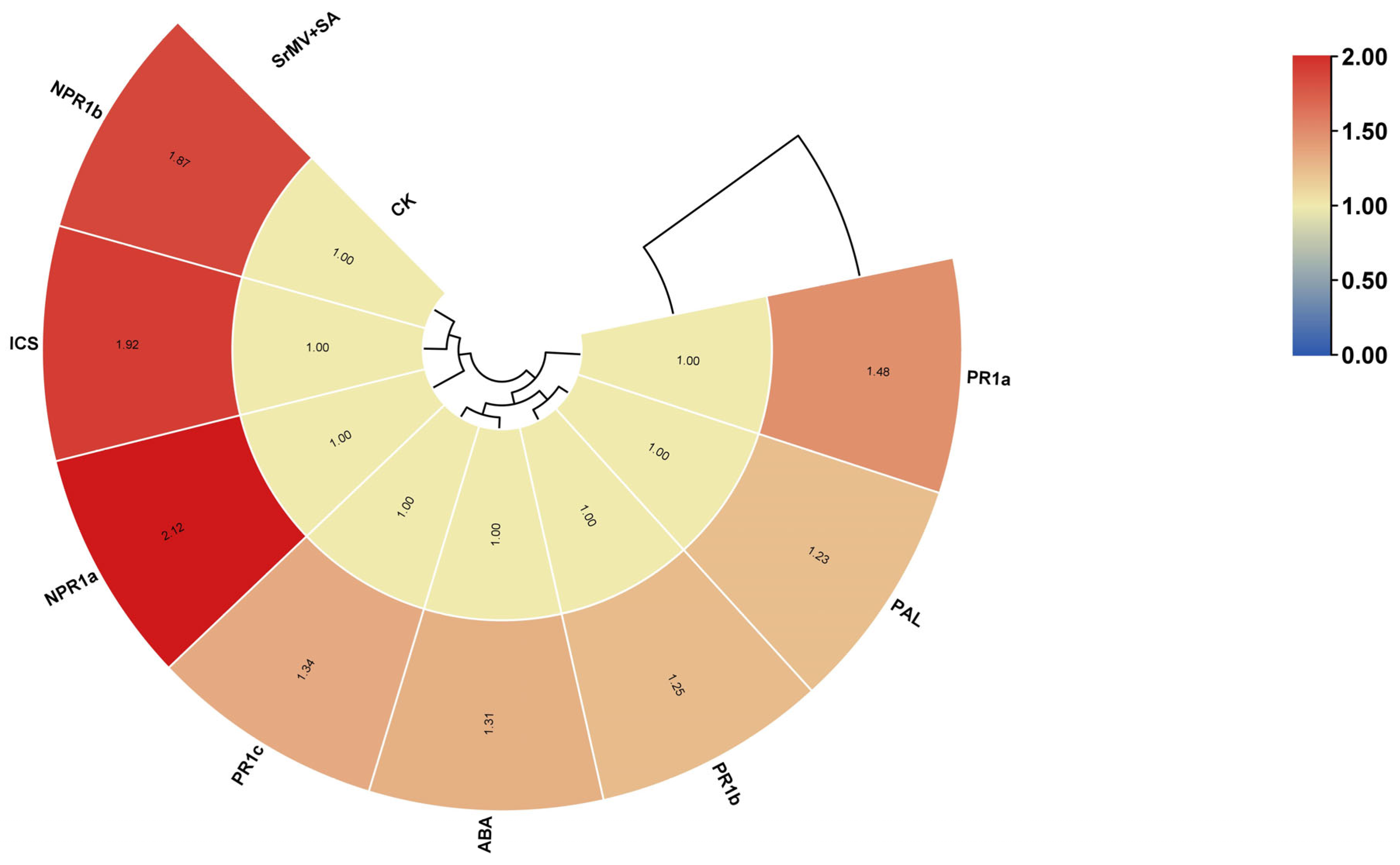 Plants 13 00234 g004