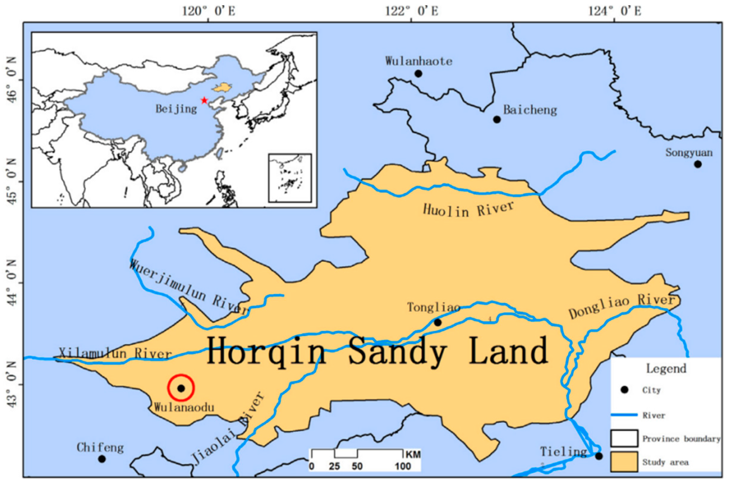 Plants 13 00255 g001