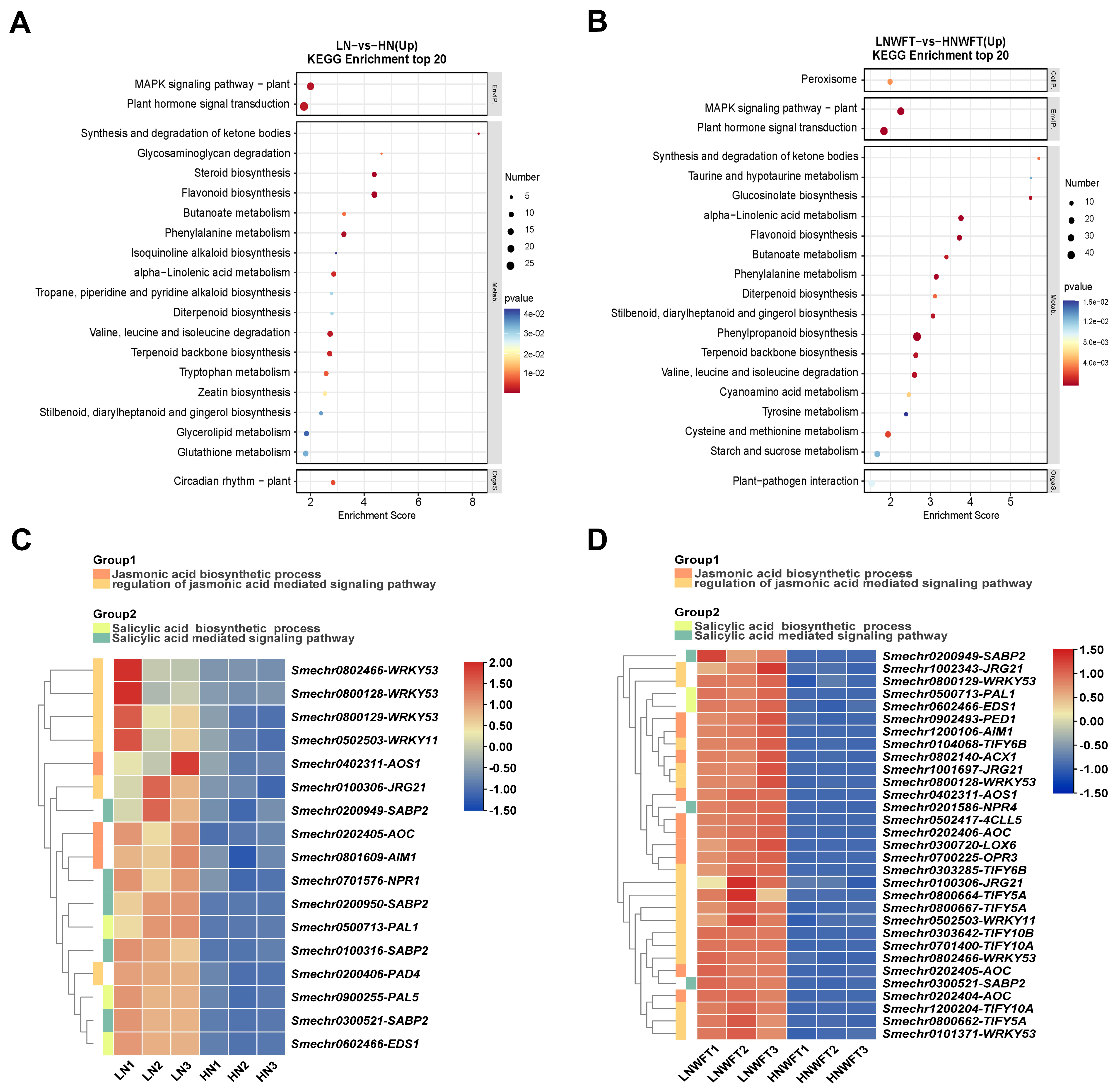Plants 13 00273 g002