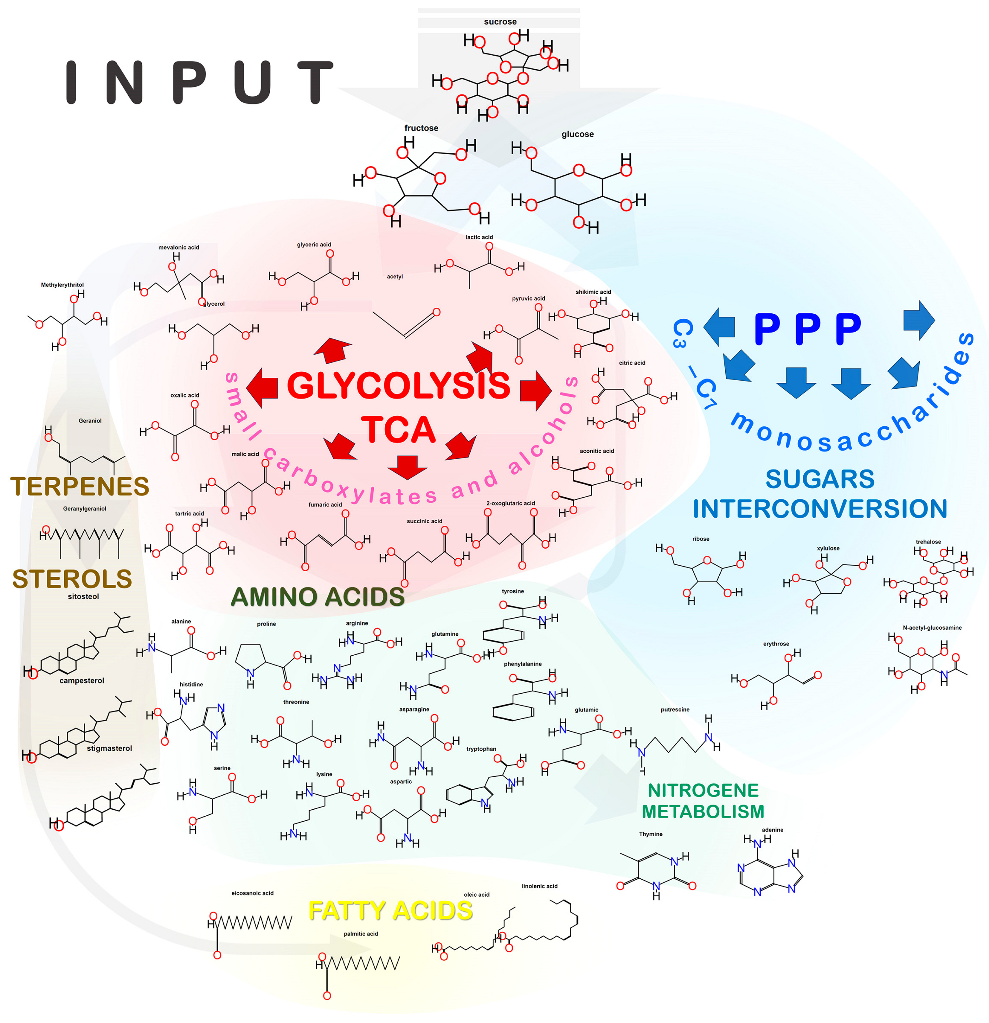 Plants 13 00277 g001 Plants 13 00277 g001