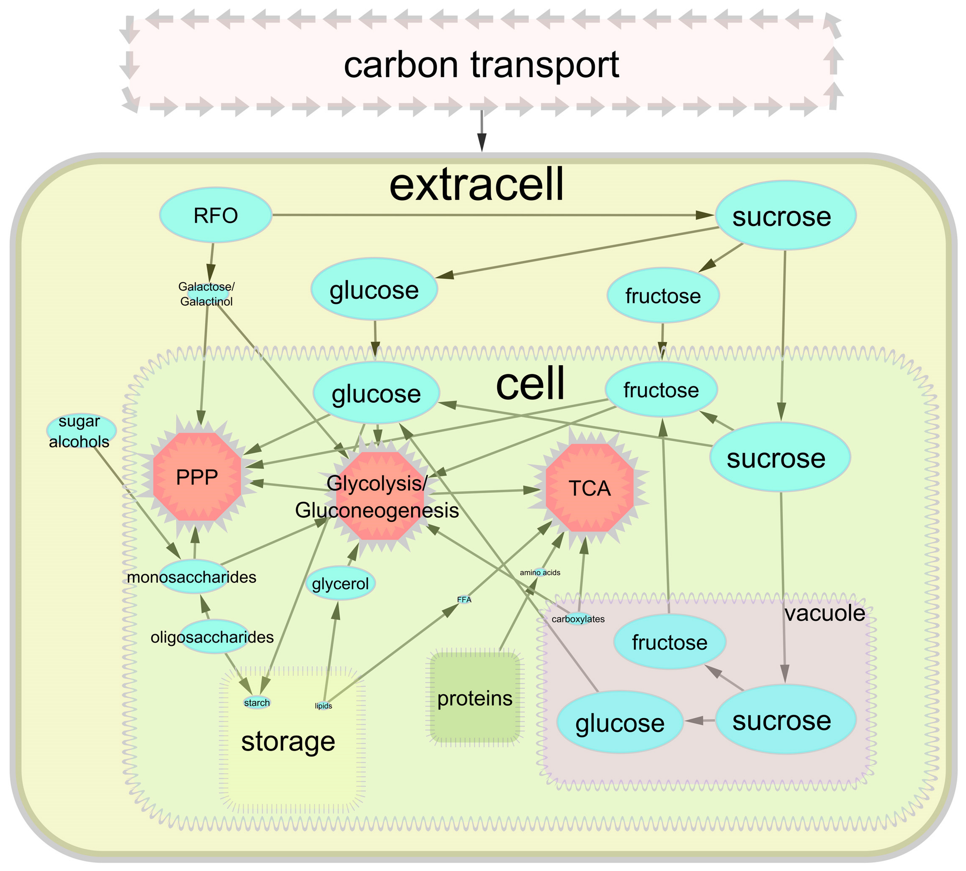 Plants 13 00277 g002 Plants 13 00277 g002