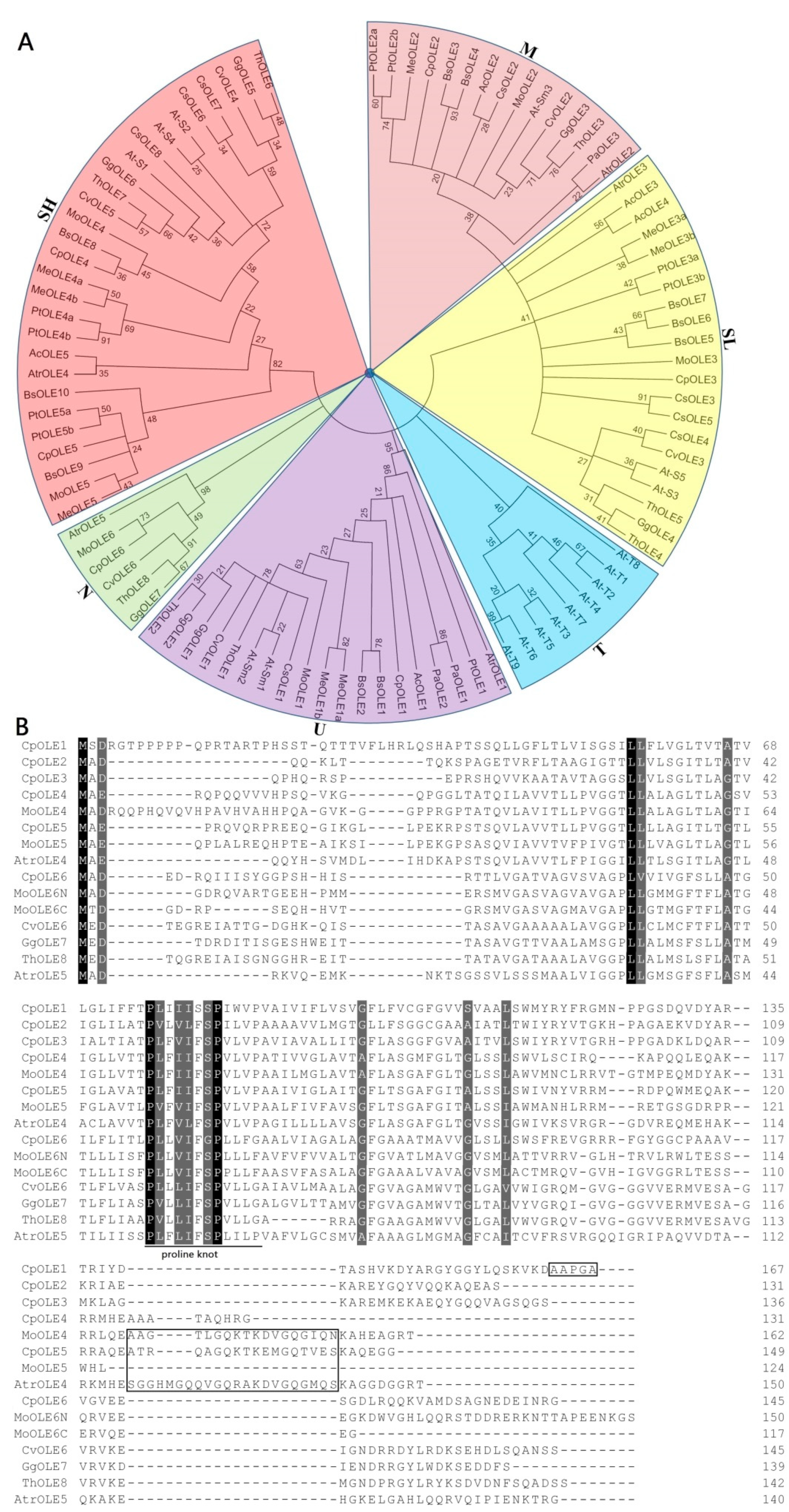 Plants 13 00280 g001 Plants 13 00280 g001