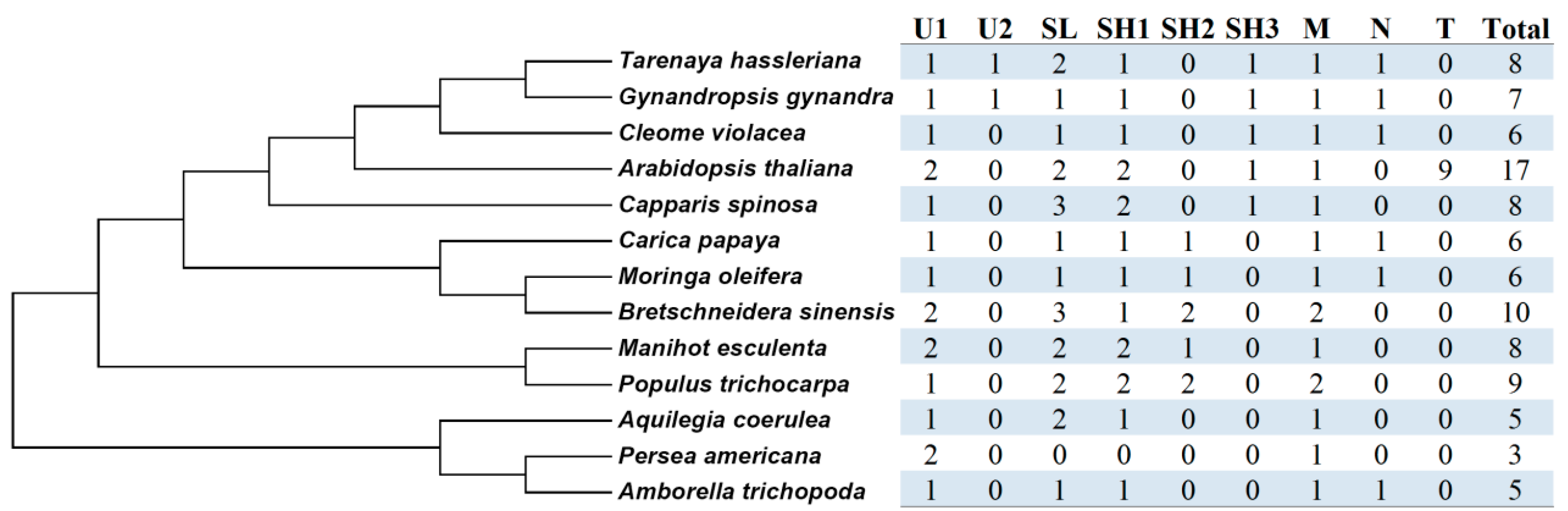 Plants 13 00280 g002 Plants 13 00280 g002