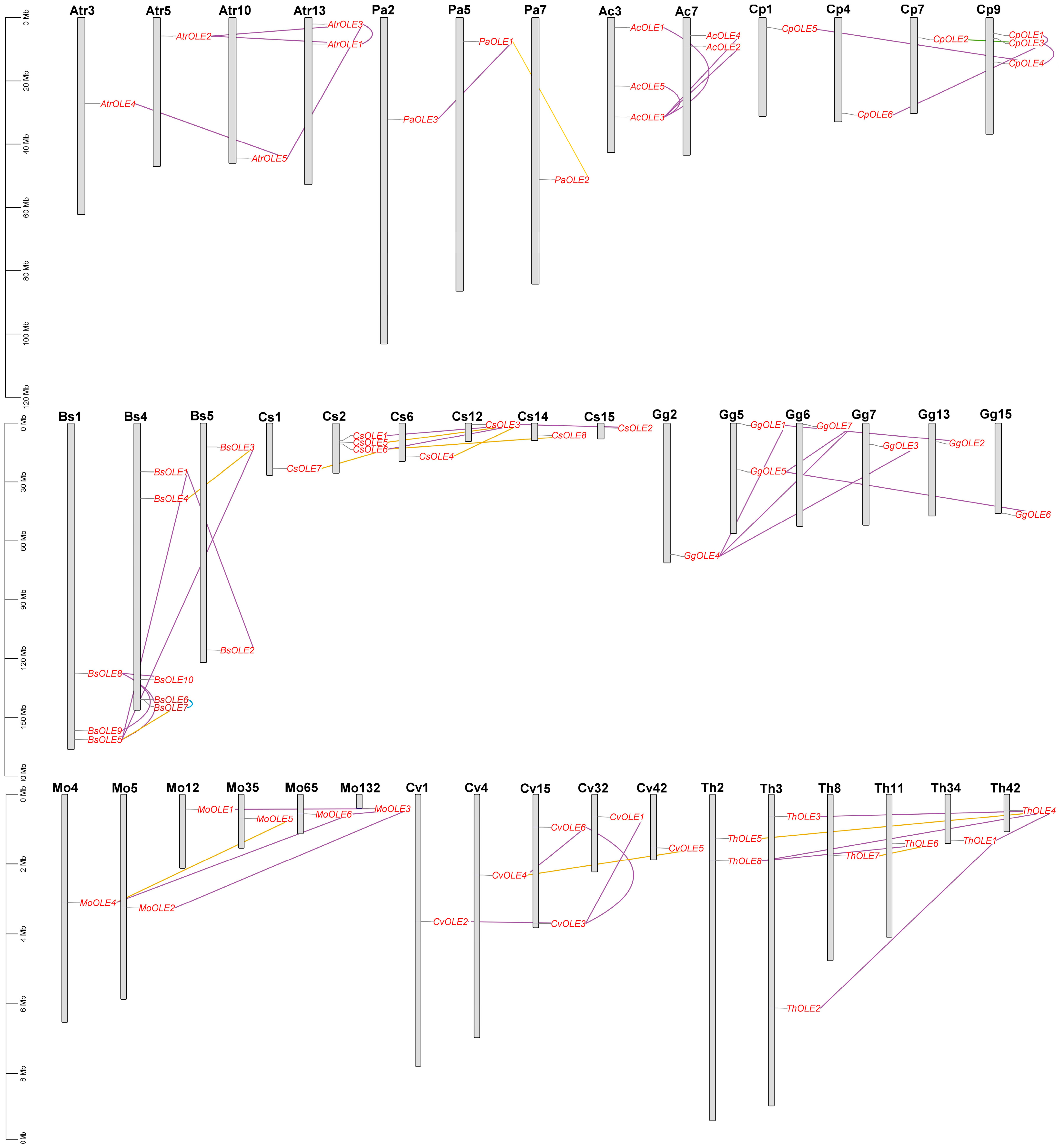 Plants 13 00280 g003 Plants 13 00280 g003