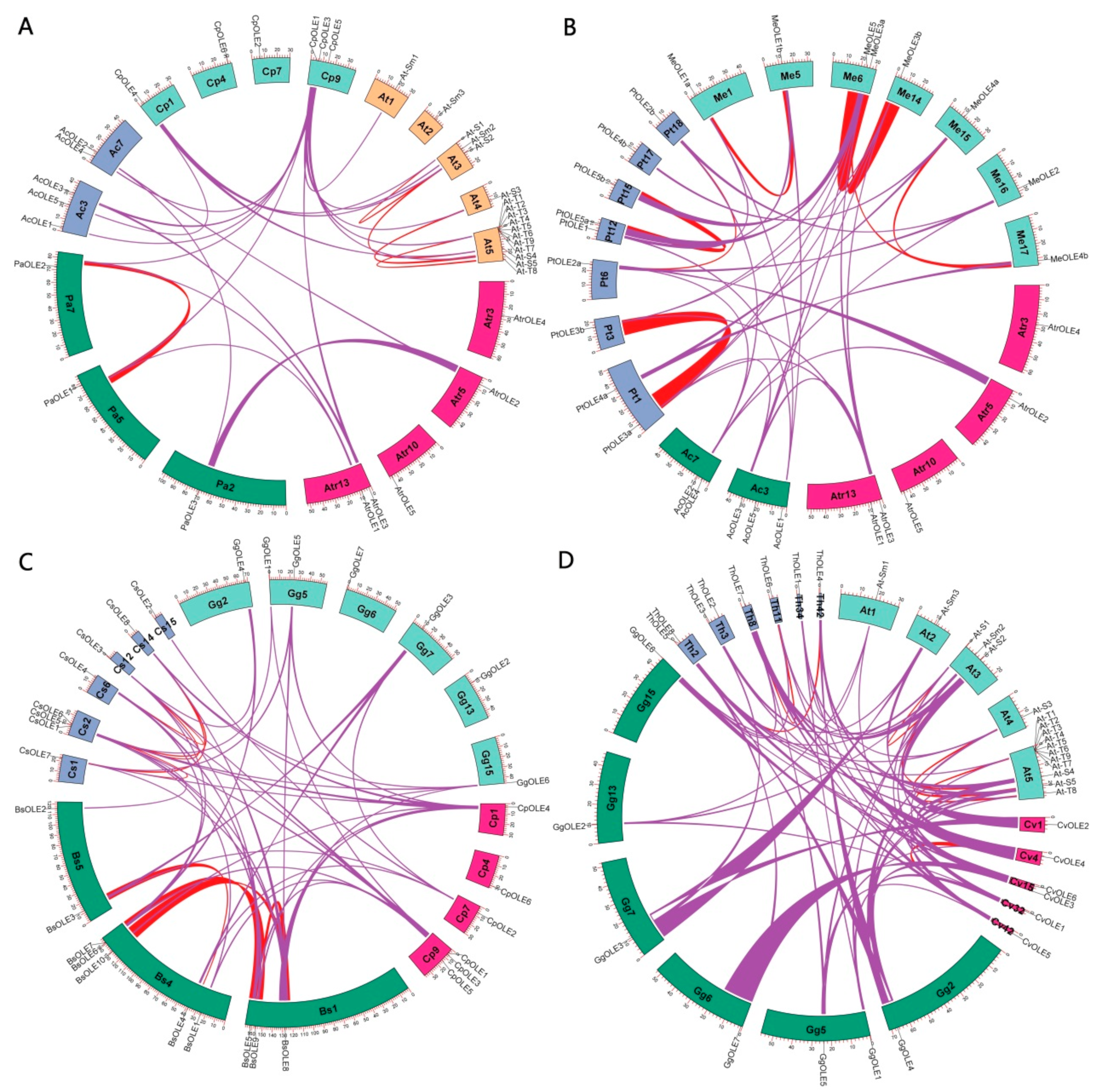 Plants 13 00280 g004 Plants 13 00280 g004